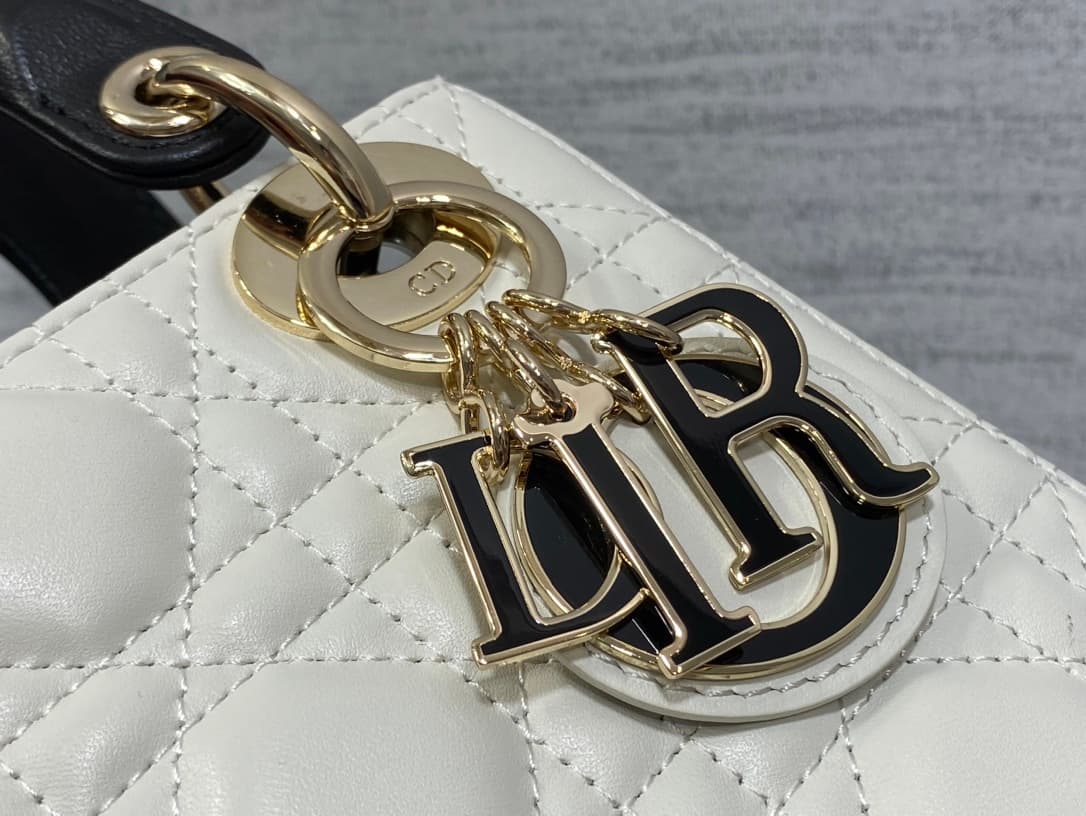 Dior Crossbody Bag