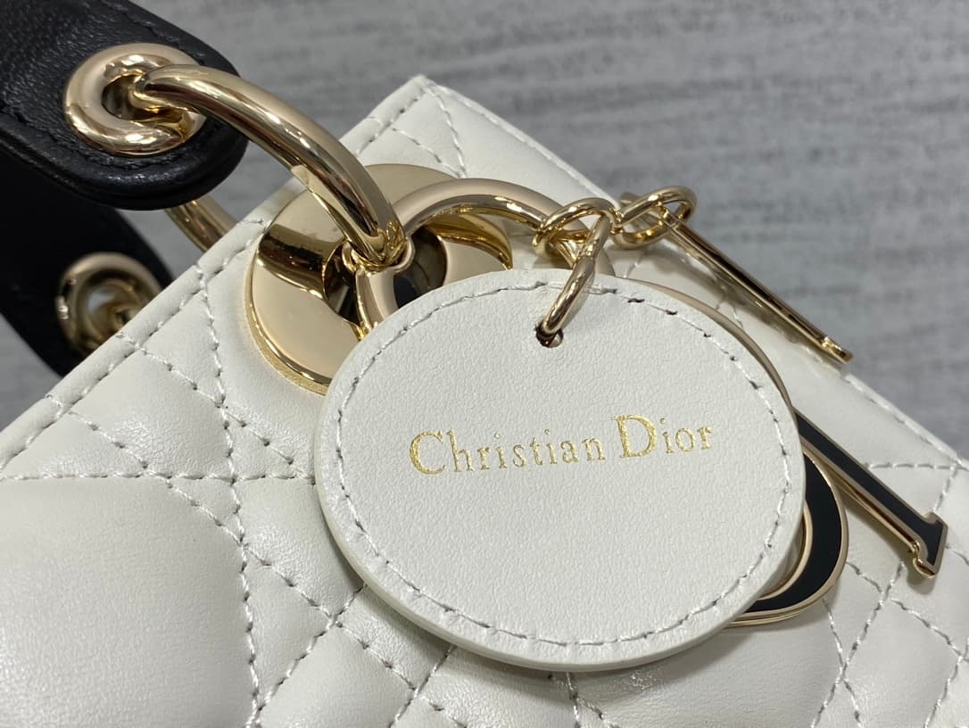 Dior Crossbody Bag