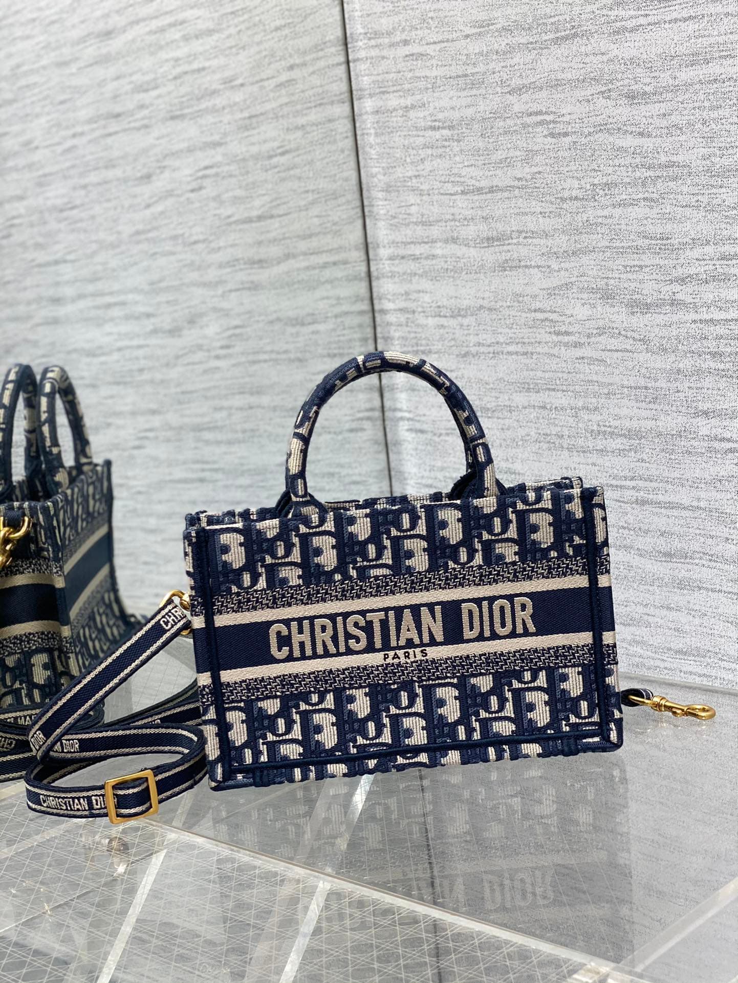Dior Mini Tote Bag