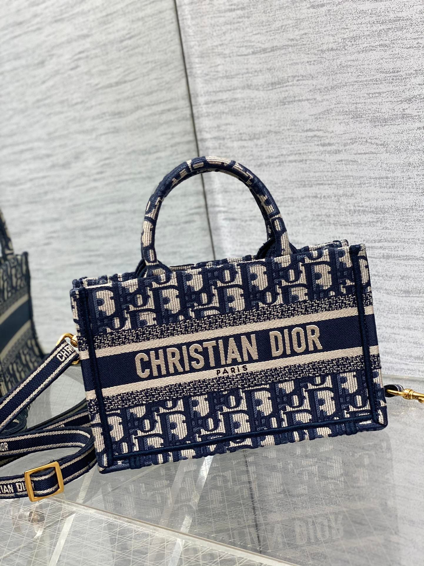 Dior Mini Tote Bag
