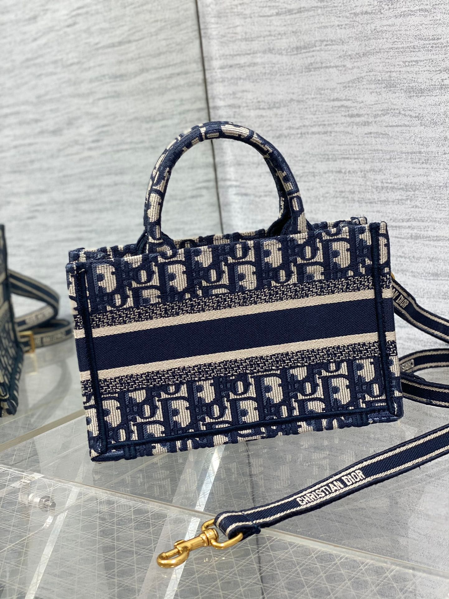 Dior Mini Tote Bag