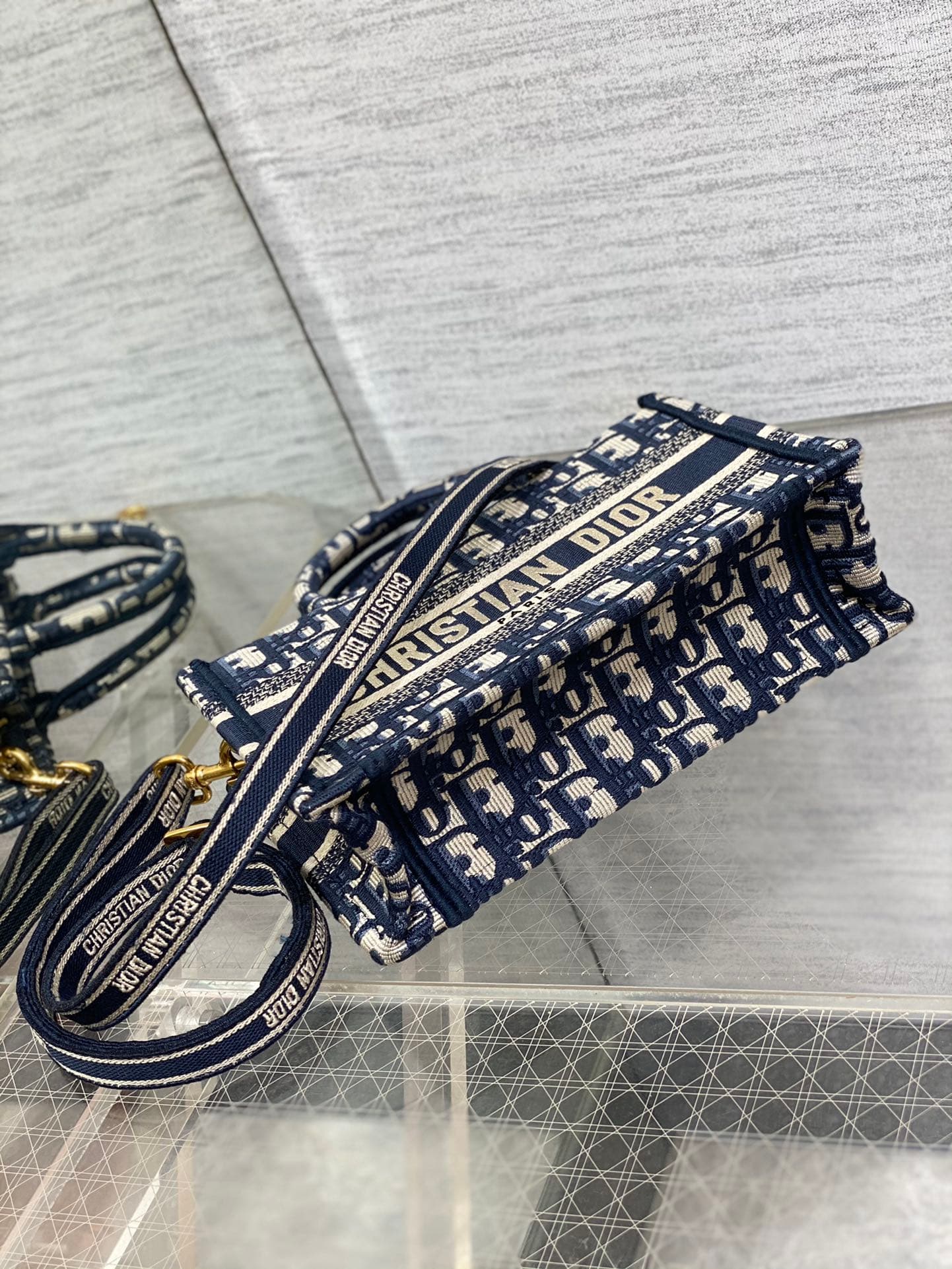 Dior Mini Tote Bag