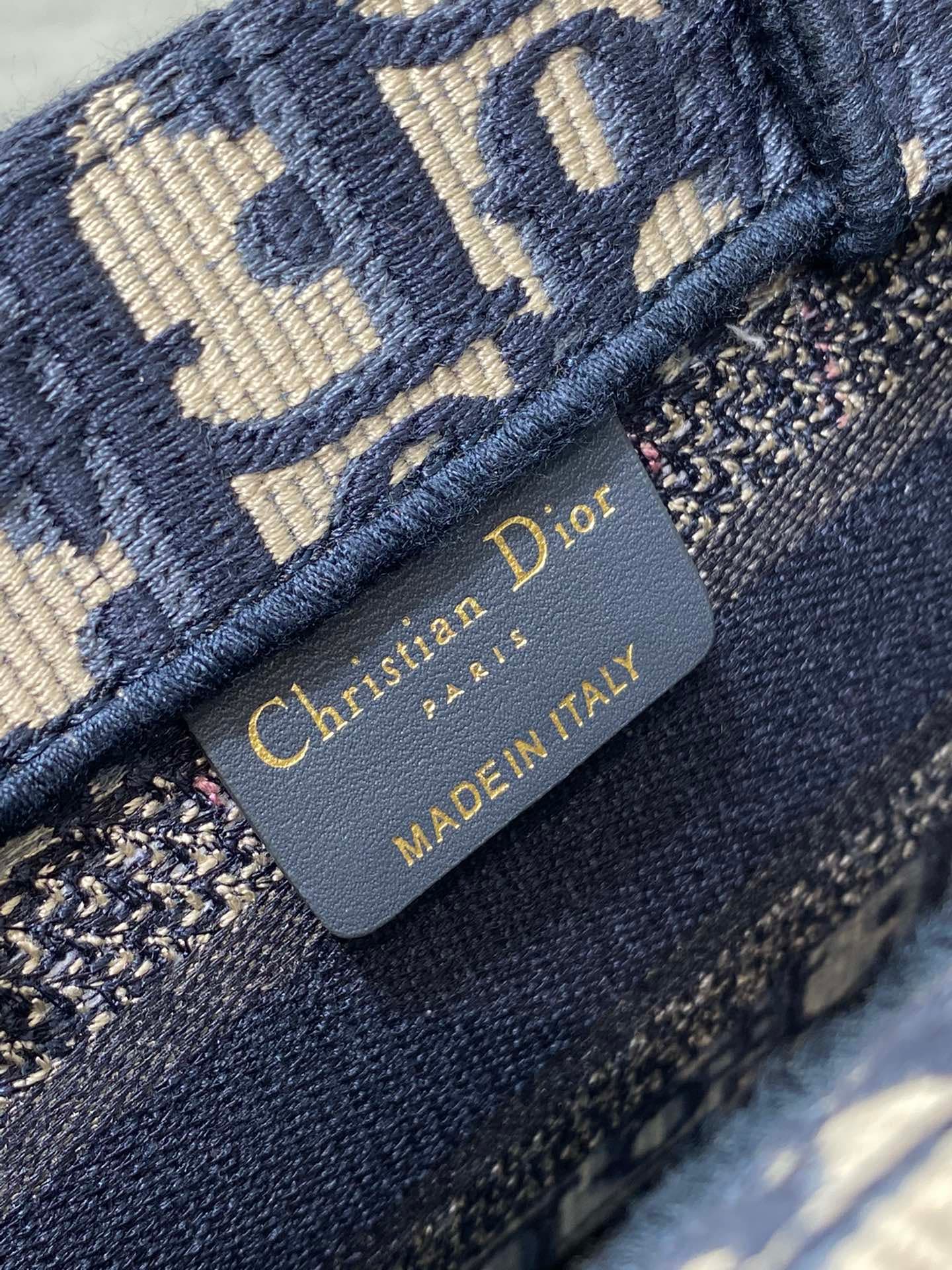 Dior Mini Tote Bag