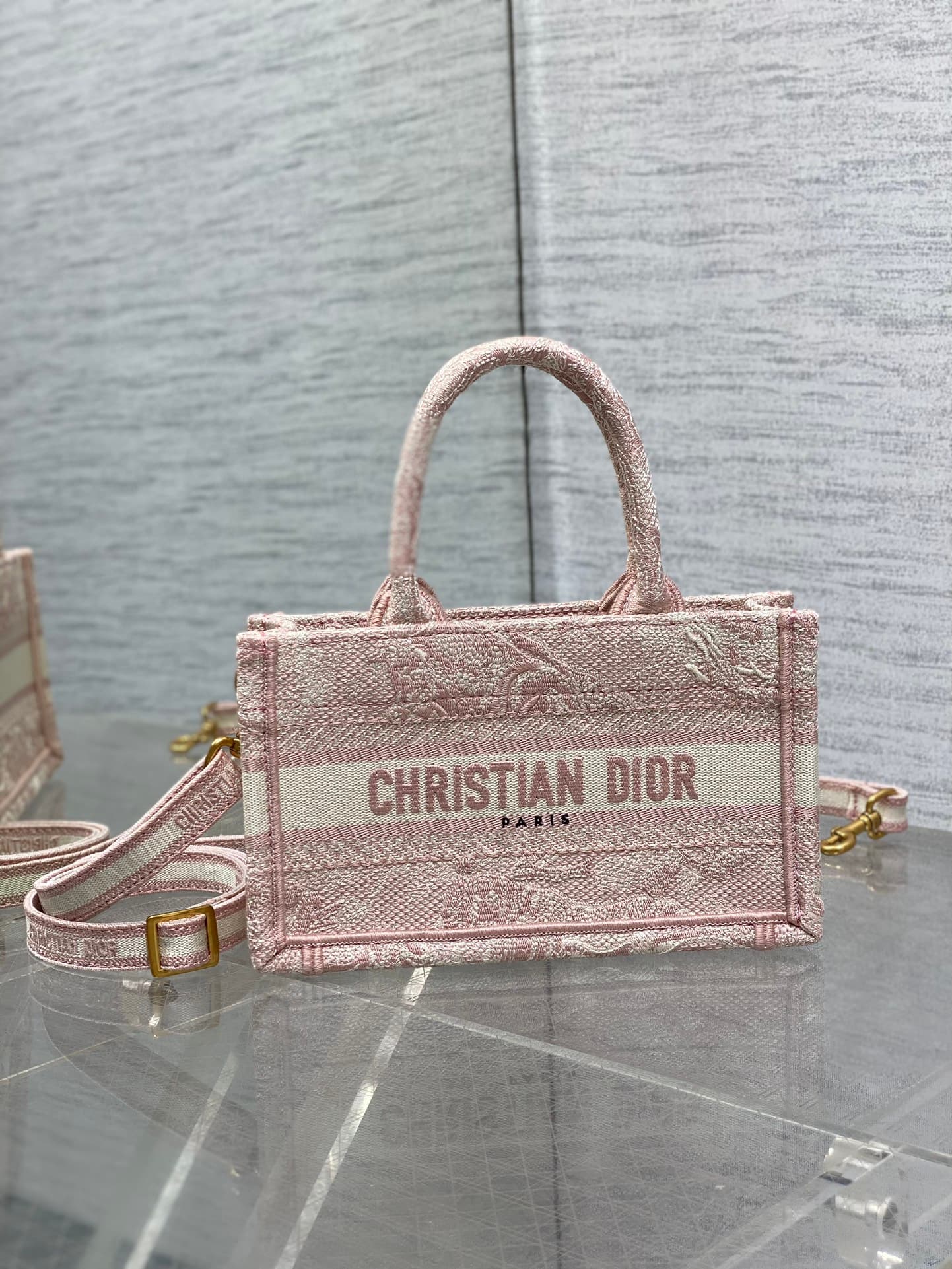 Dior Mini Tote Bag