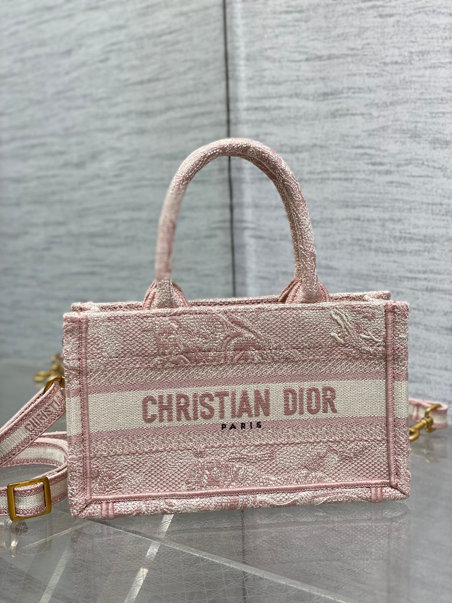 Dior Mini Tote Bag