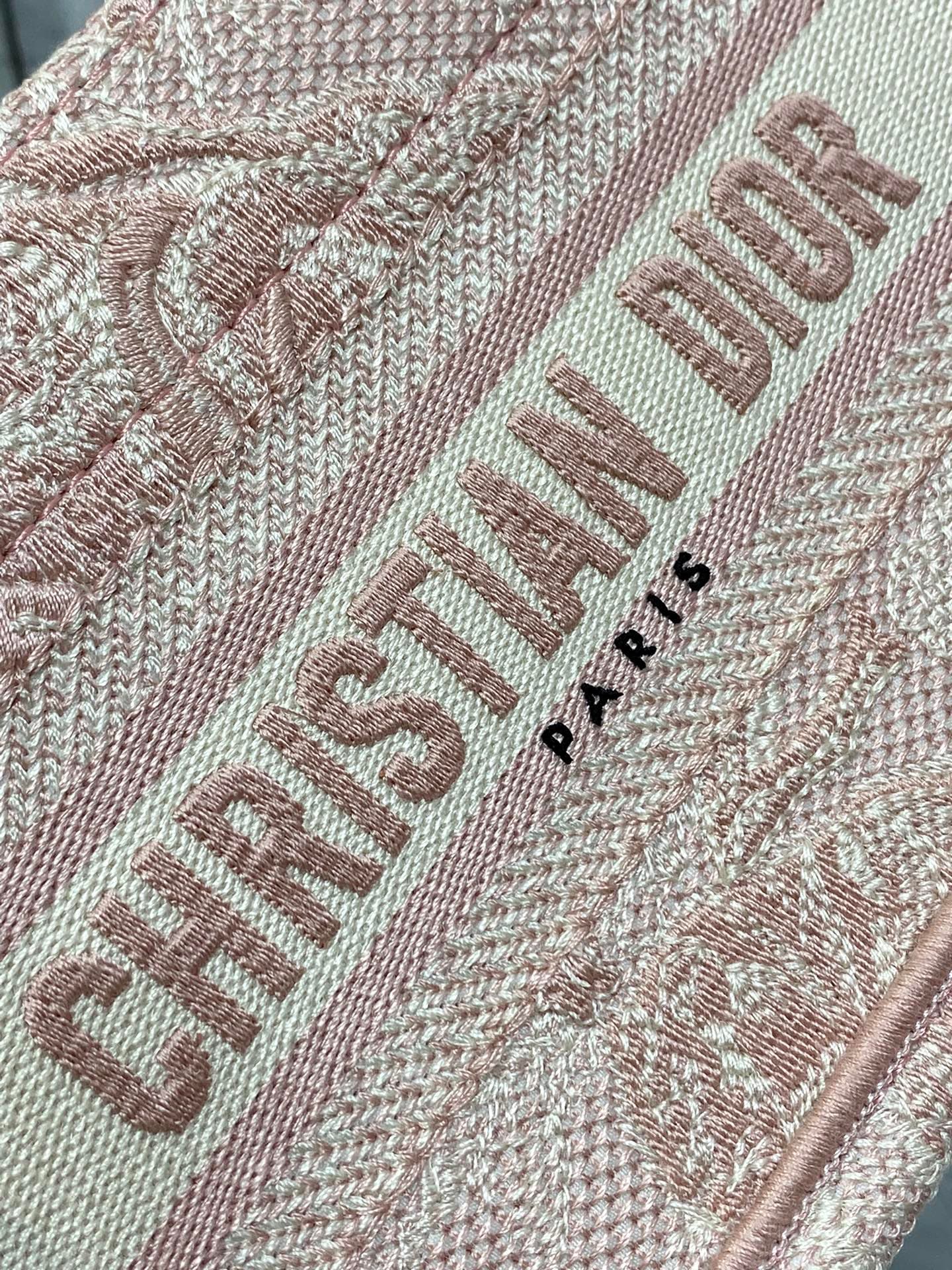 Dior Mini Tote Bag