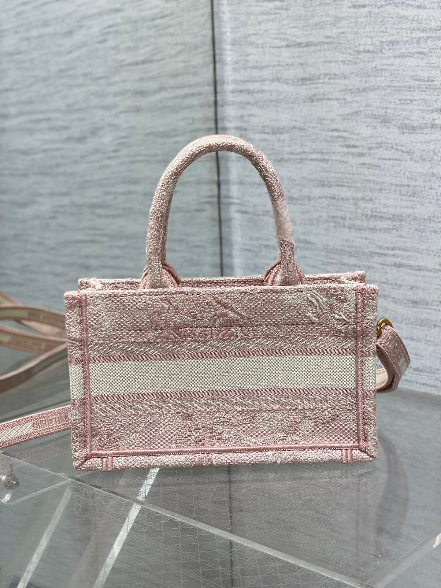 Dior Mini Tote Bag