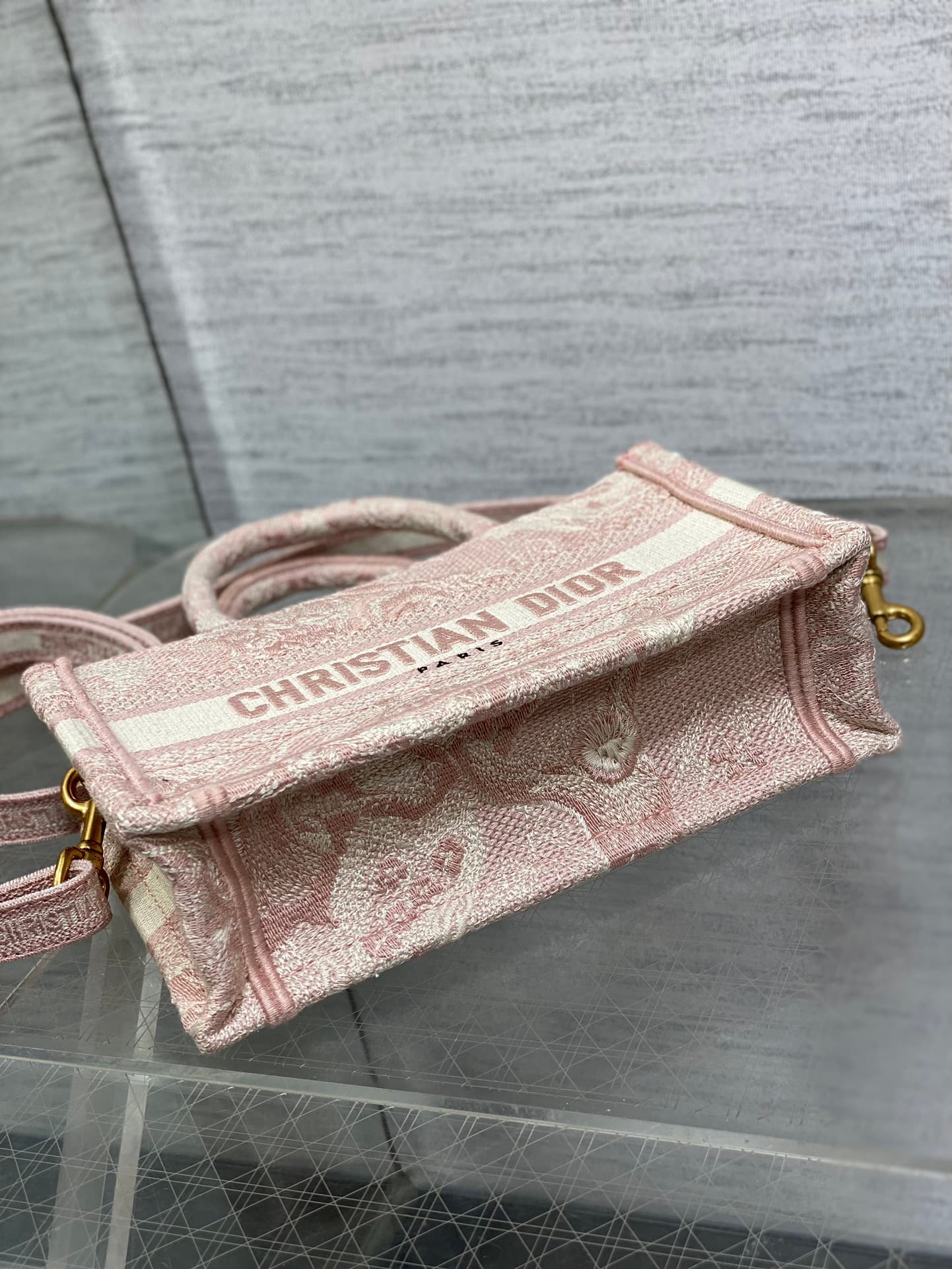 Dior Mini Tote Bag