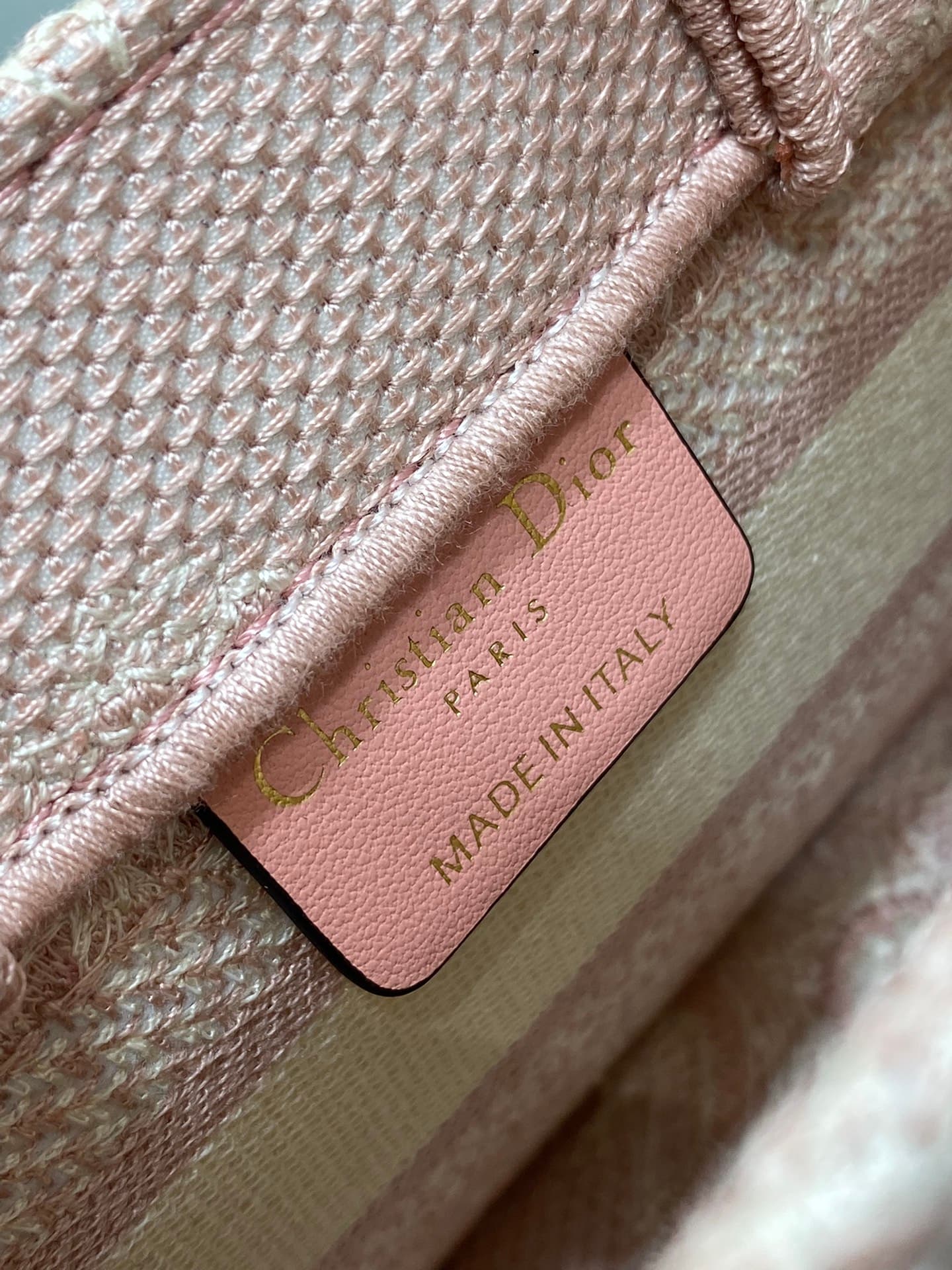 Dior Mini Tote Bag