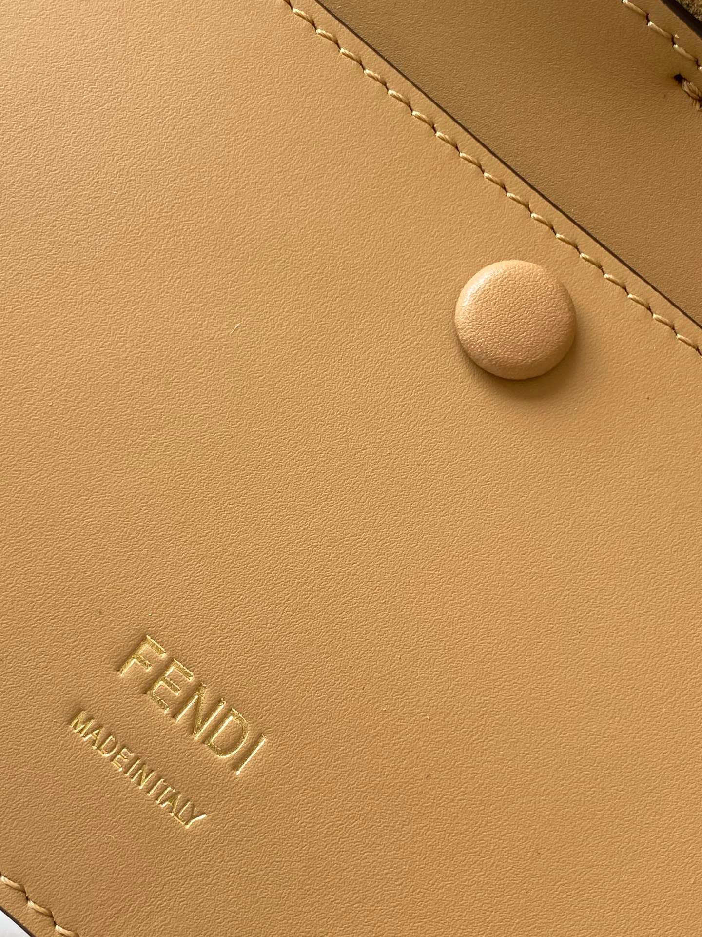 Fendi Bag
