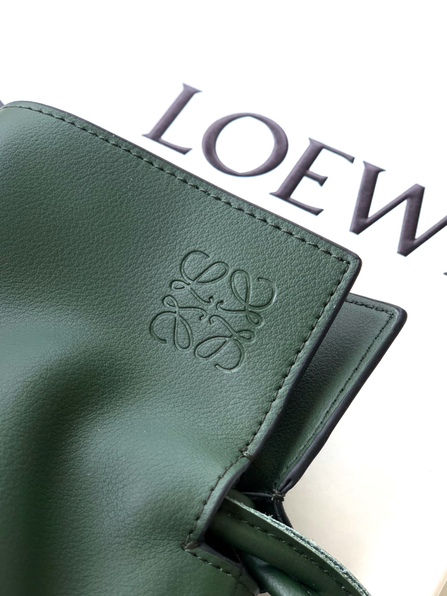 Loewe Green Large Crossbody Bag S062