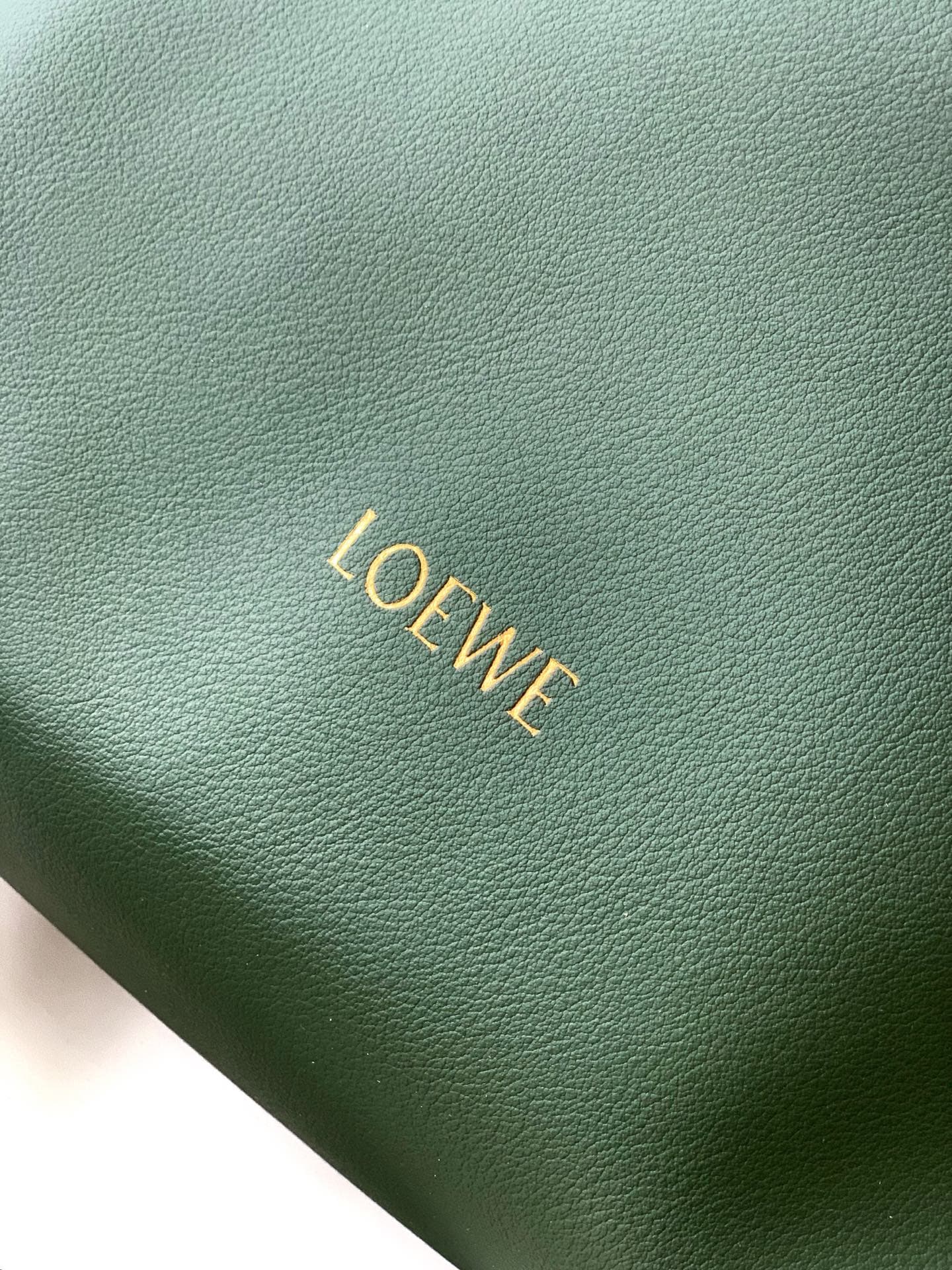 Loewe Green Crossbody Bag S062