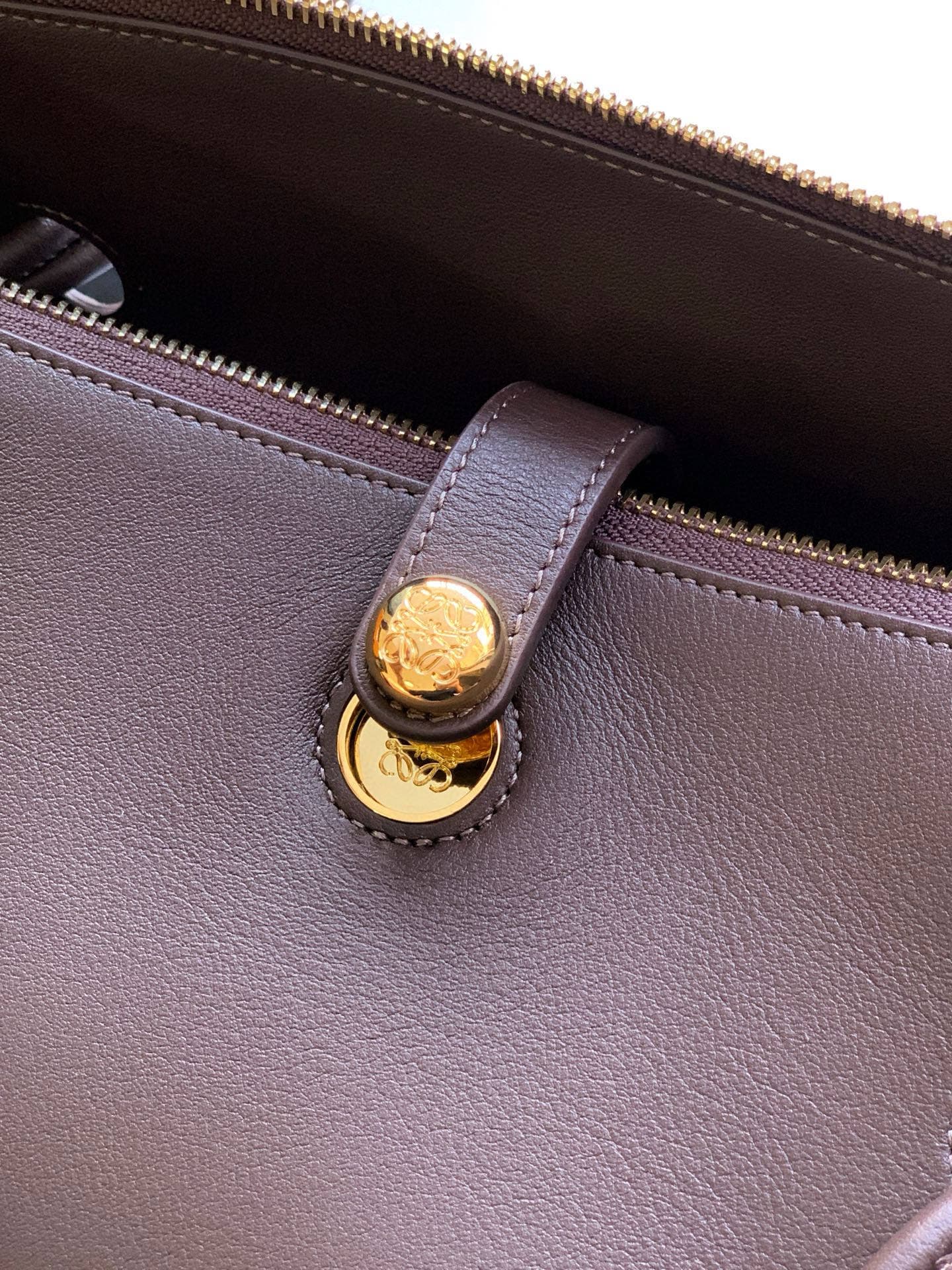 Loewe Brown Medium Crossbody Bag 9147