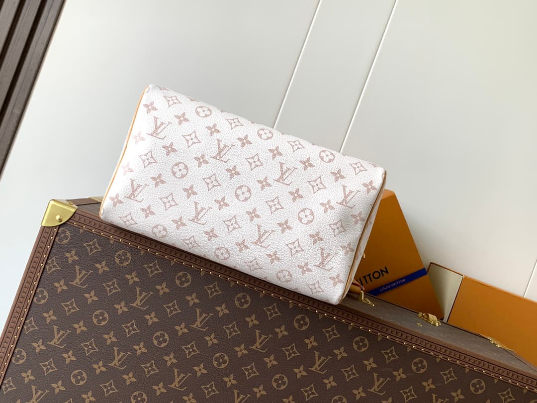 Louis Vuitton Black Wallet M15107