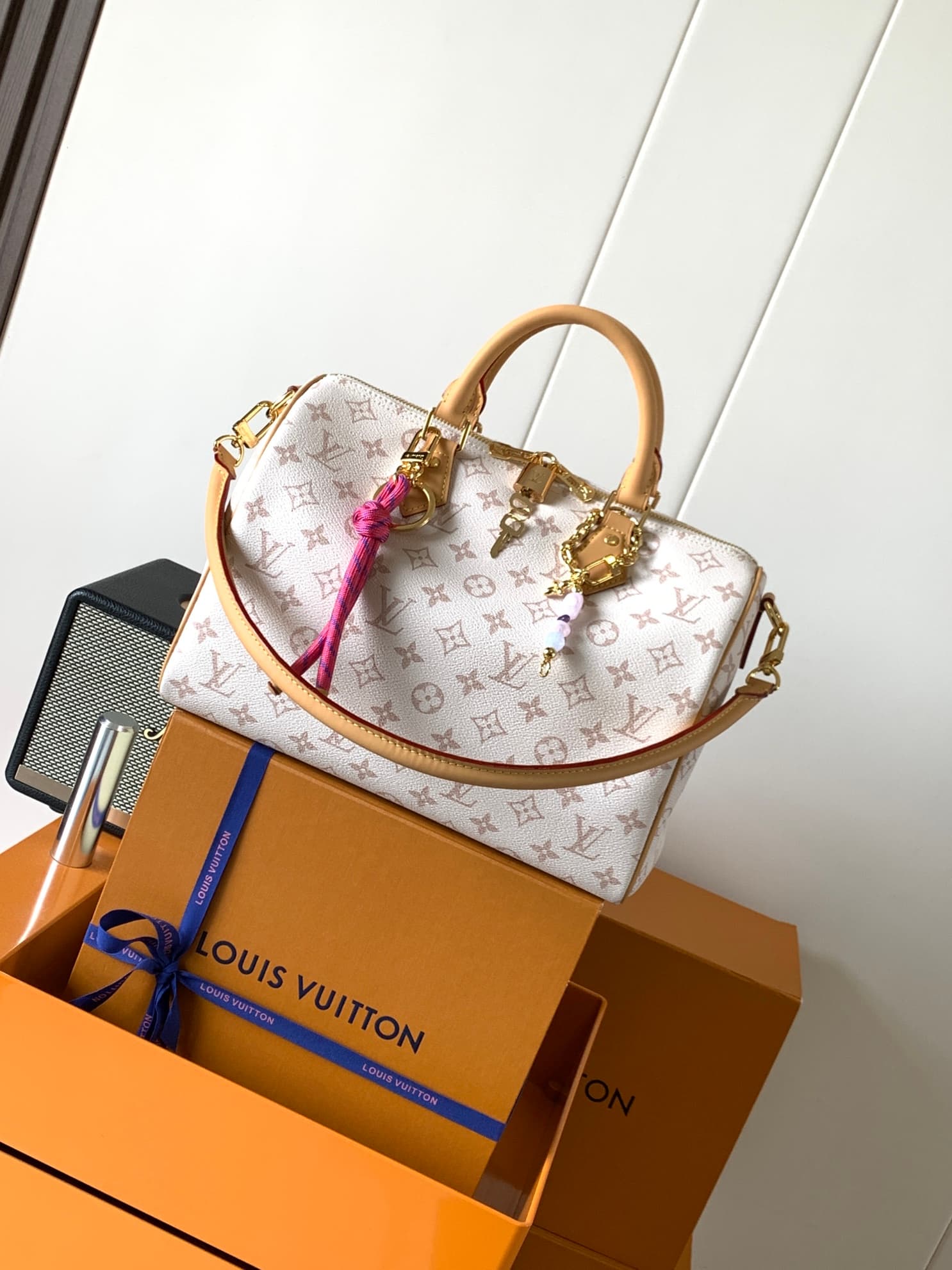 Louis Vuitton Accessory M15108
