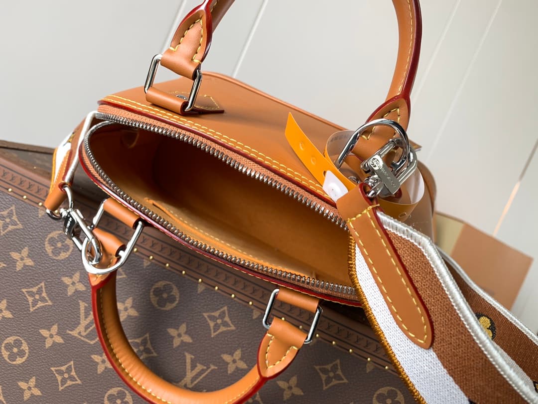 Louis Vuitton Black Bag M59217