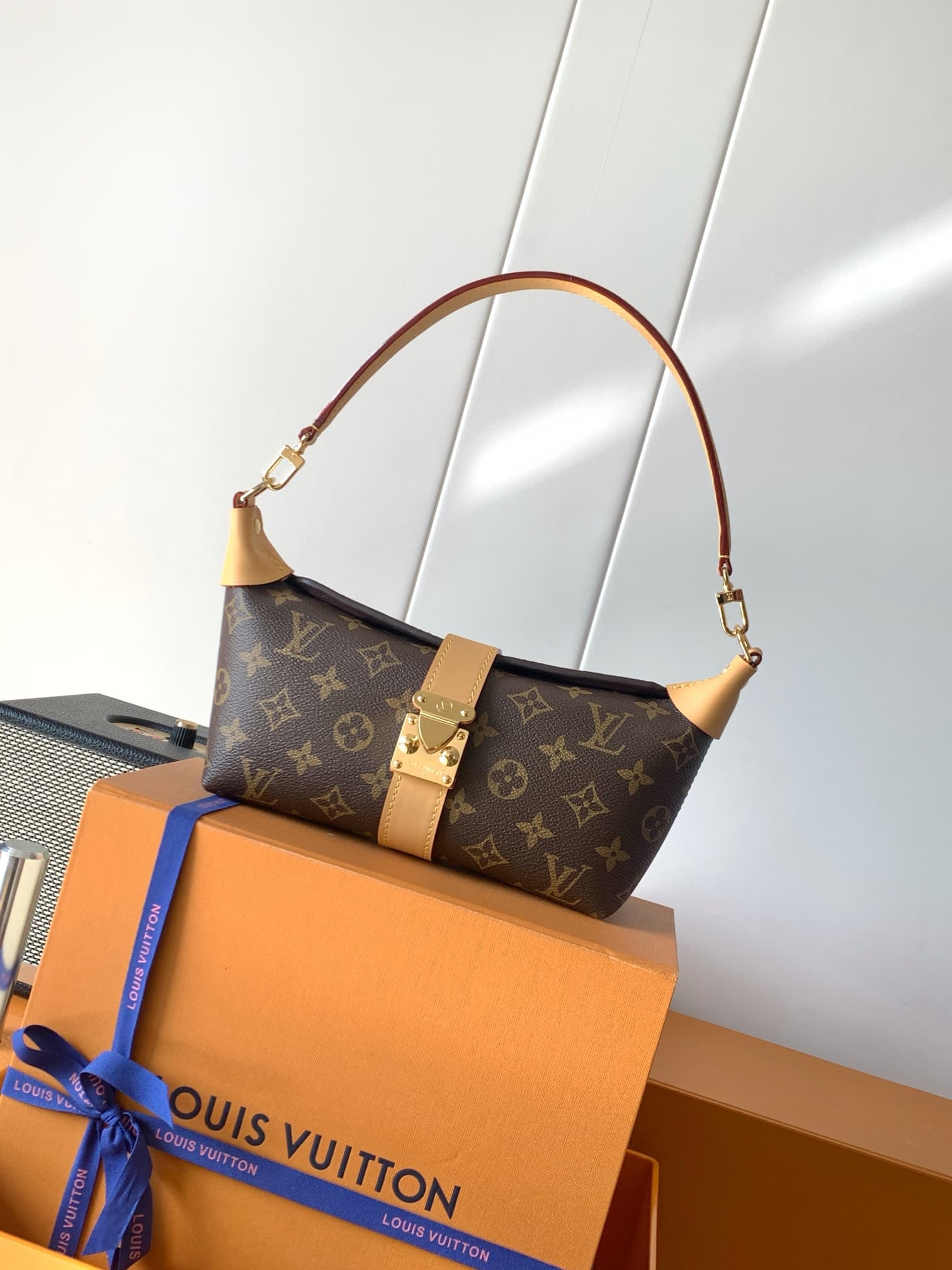 Louis Vuitton Accessory M26191