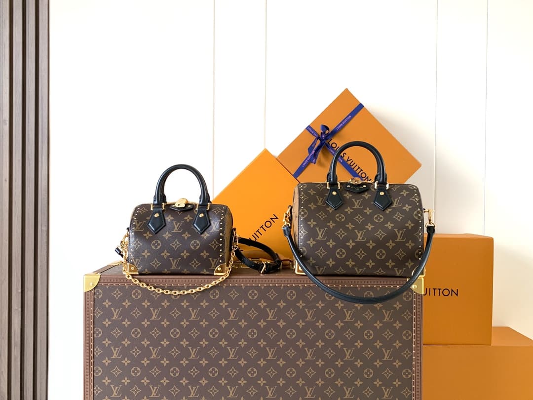 Louis Vuitton Accessory M13146