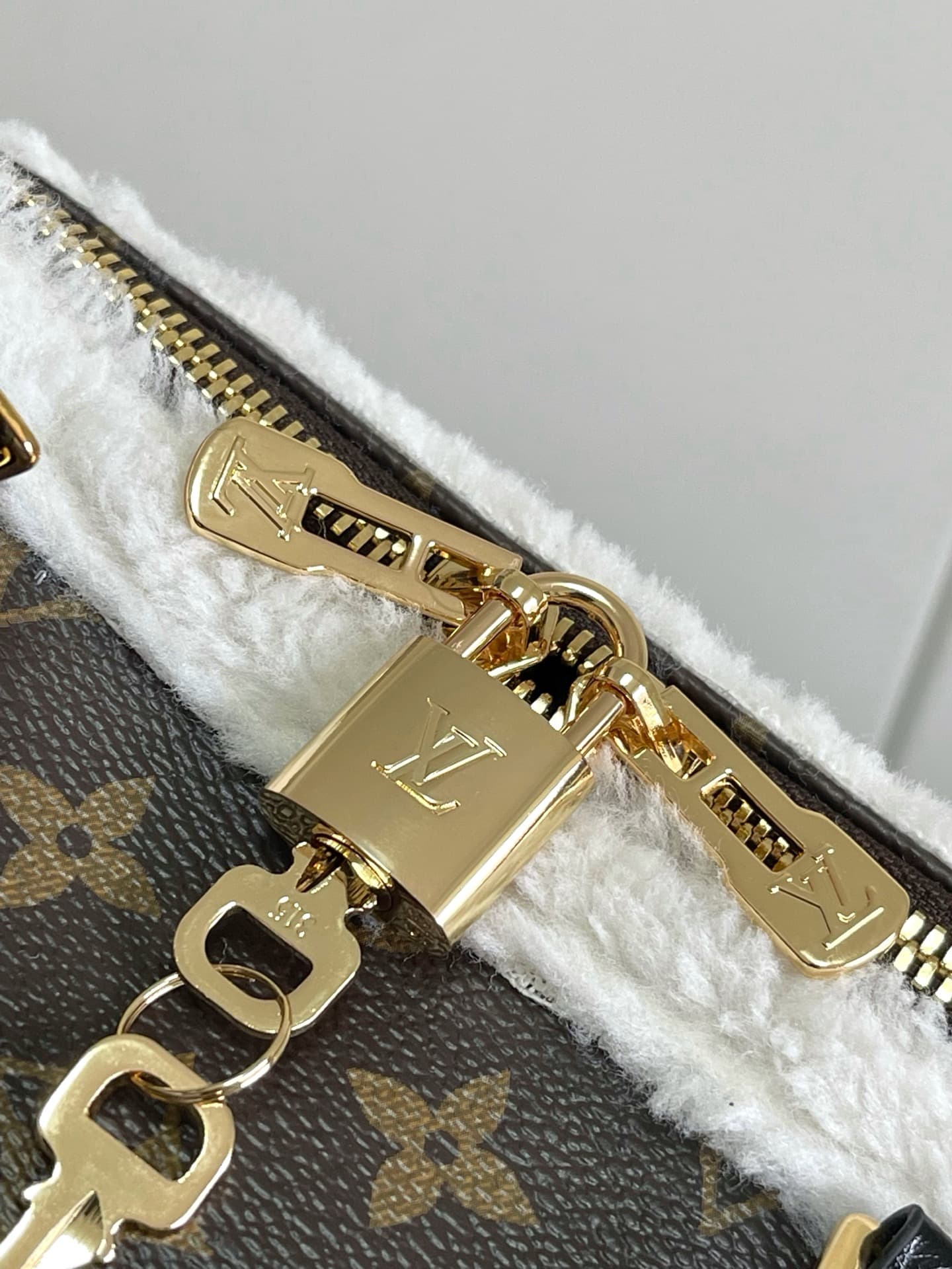 Louis Vuitton Gold Bag M26326