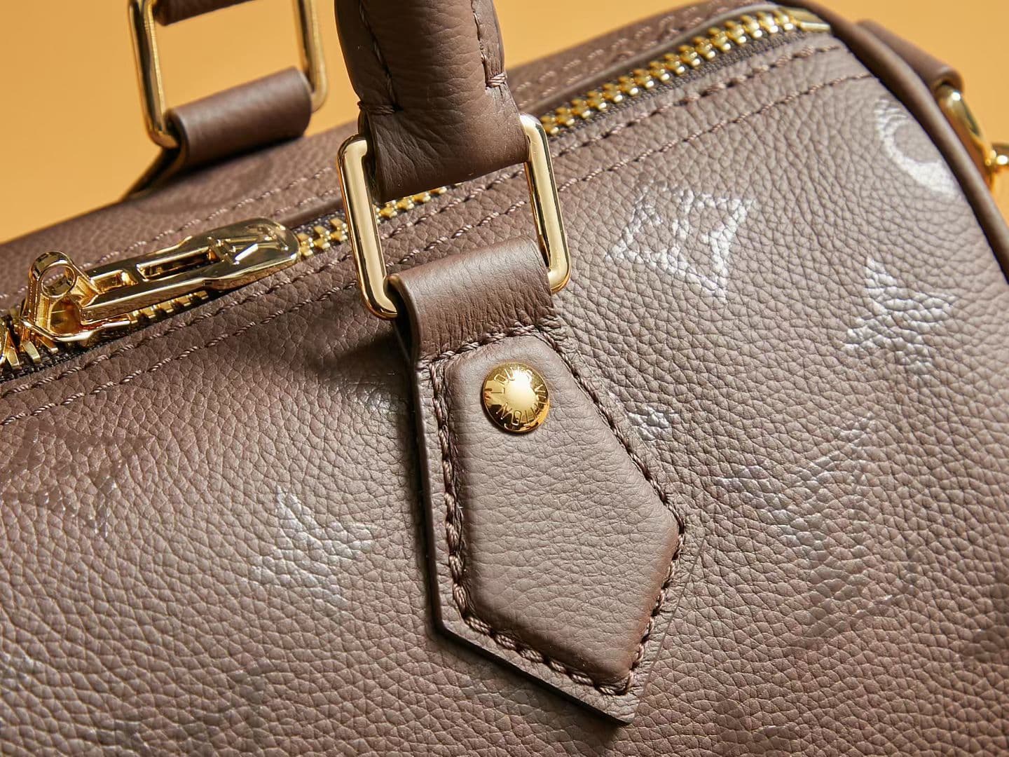 Louis Vuitton Black Bag M26691