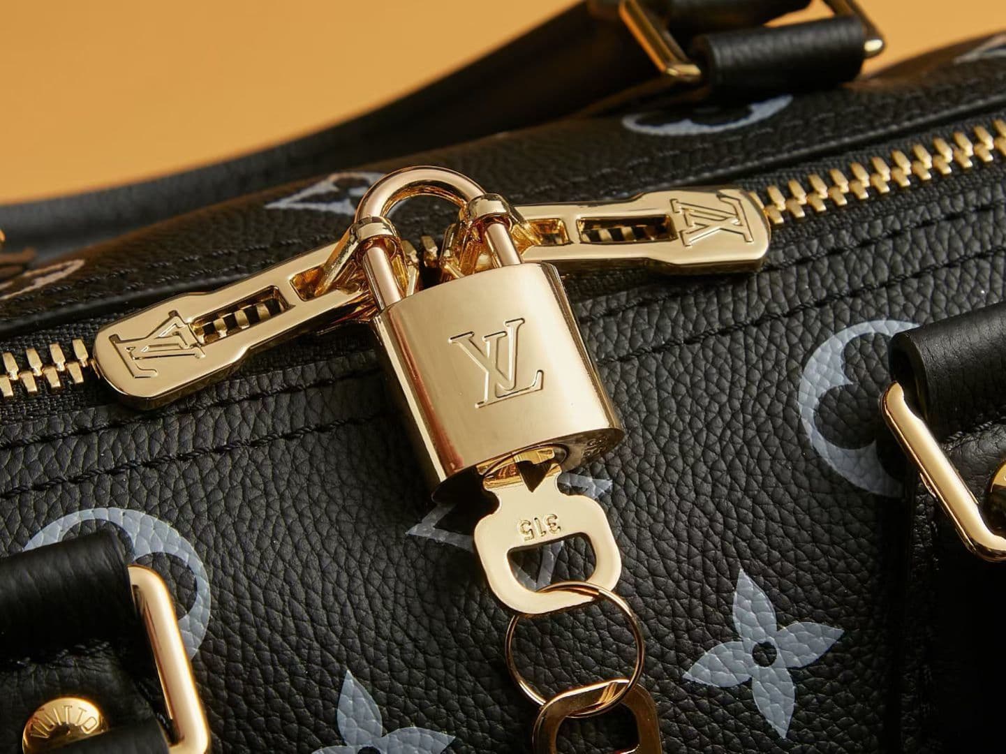 Louis Vuitton Black Bag M26691