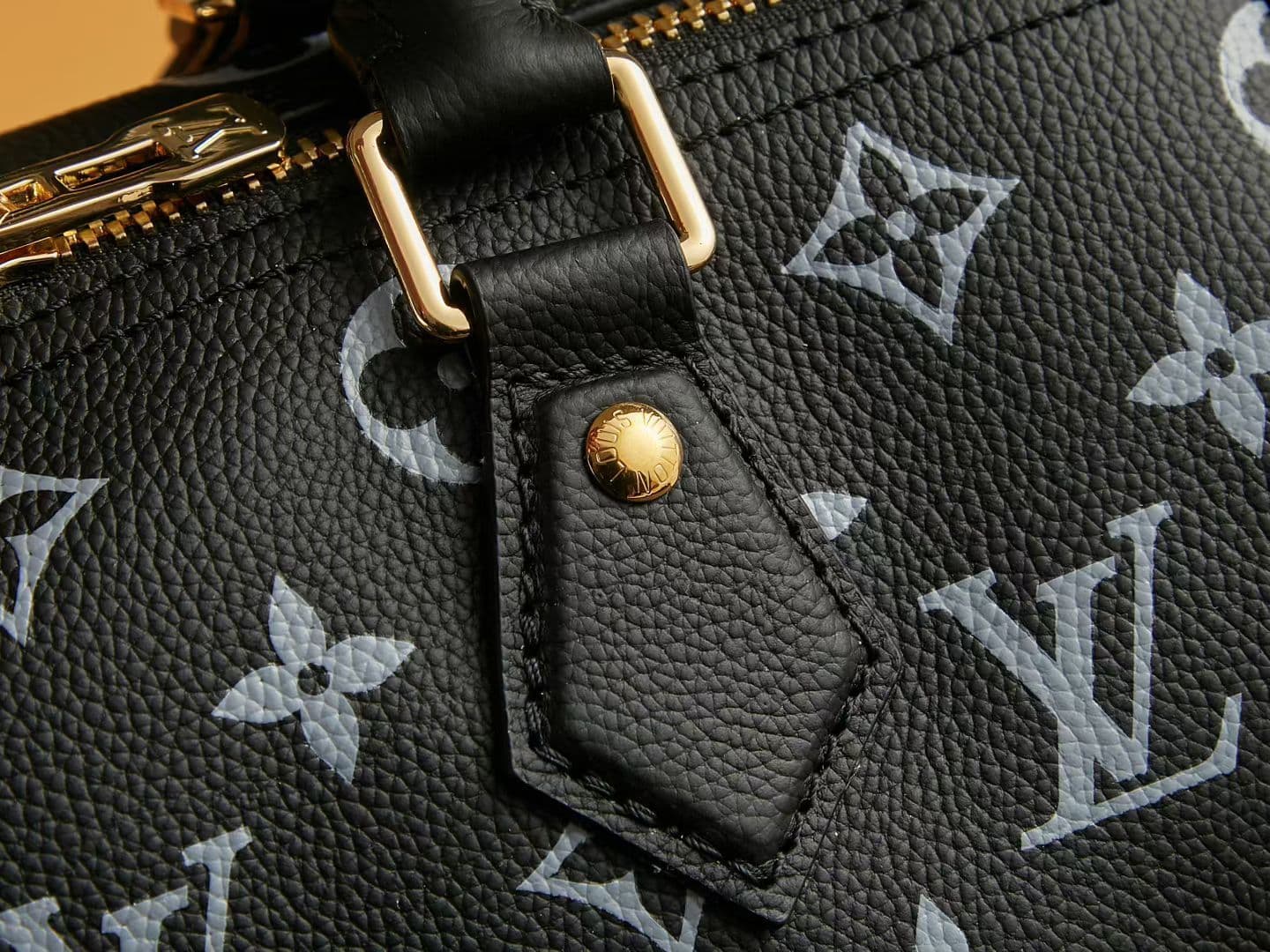 Louis Vuitton Black Bag M26691