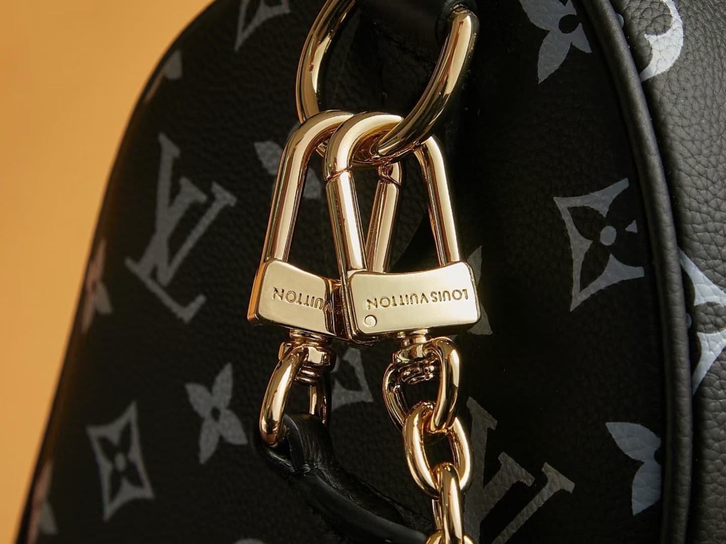 Louis Vuitton Black Bag M26691