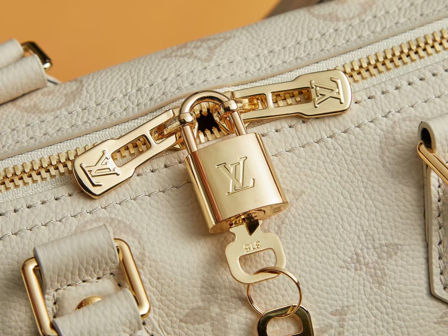 Louis Vuitton Black Bag M26691