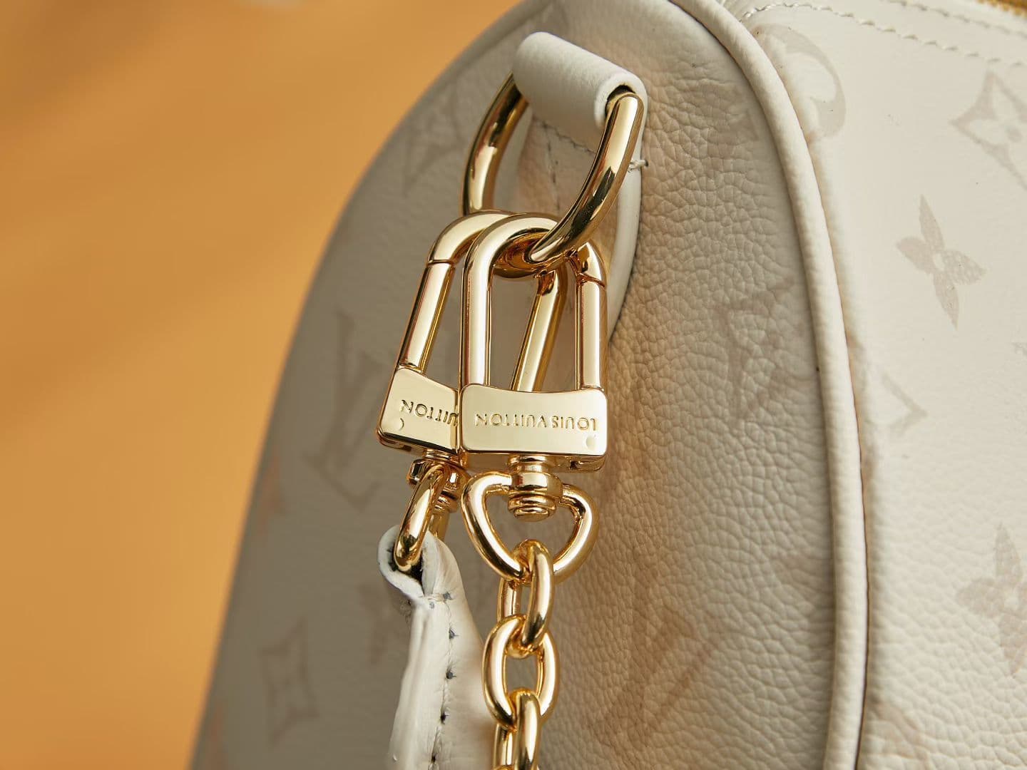 Louis Vuitton Black Bag M26691