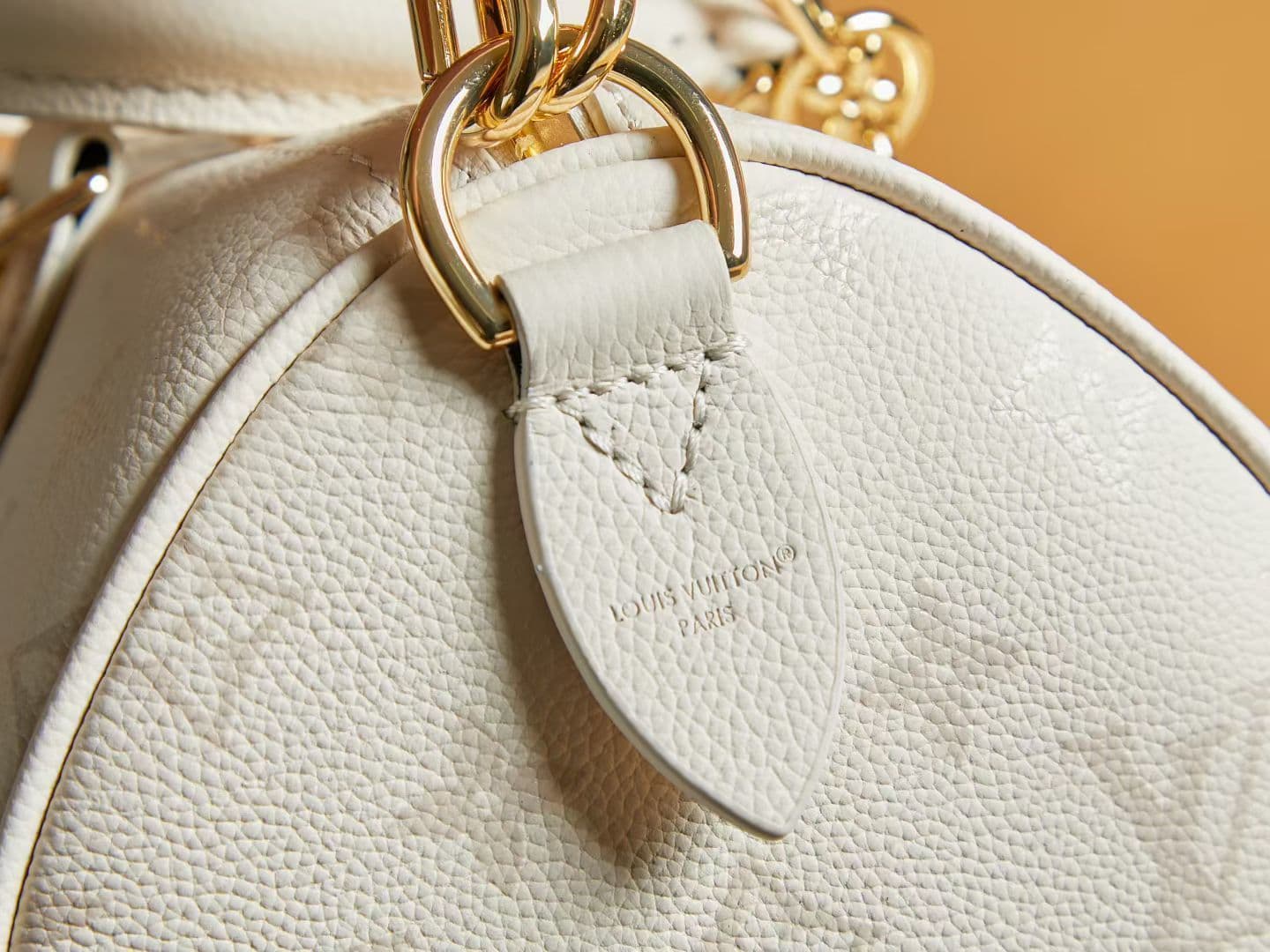 Louis Vuitton Black Bag M26691