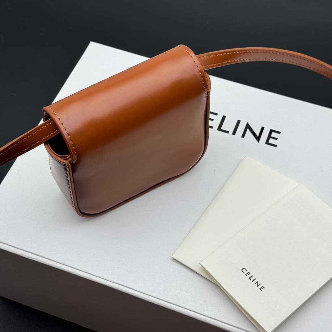 Celine Brown Mini Crossbody Bag 101513