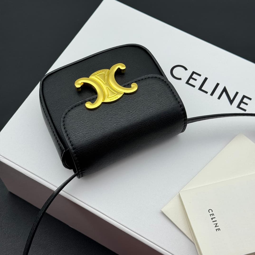 Celine Black Mini Crossbody Bag 101513