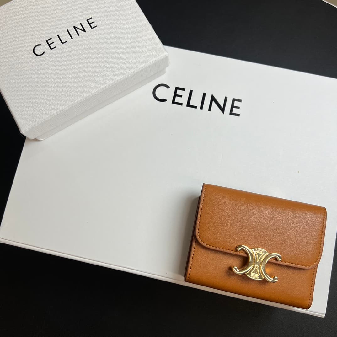 Celine Brown Wallet 10l653DS3