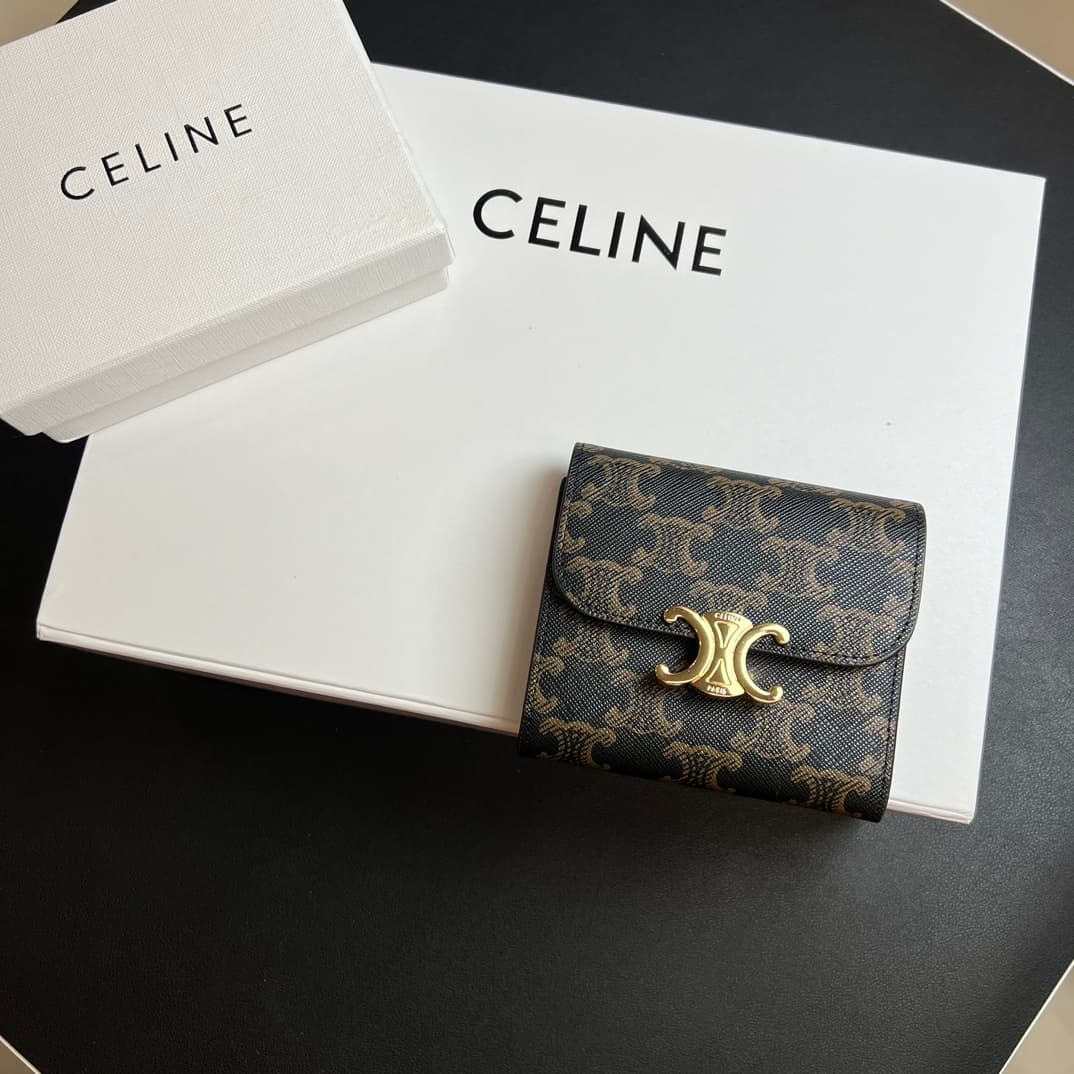 Celine Silver Wallet w10