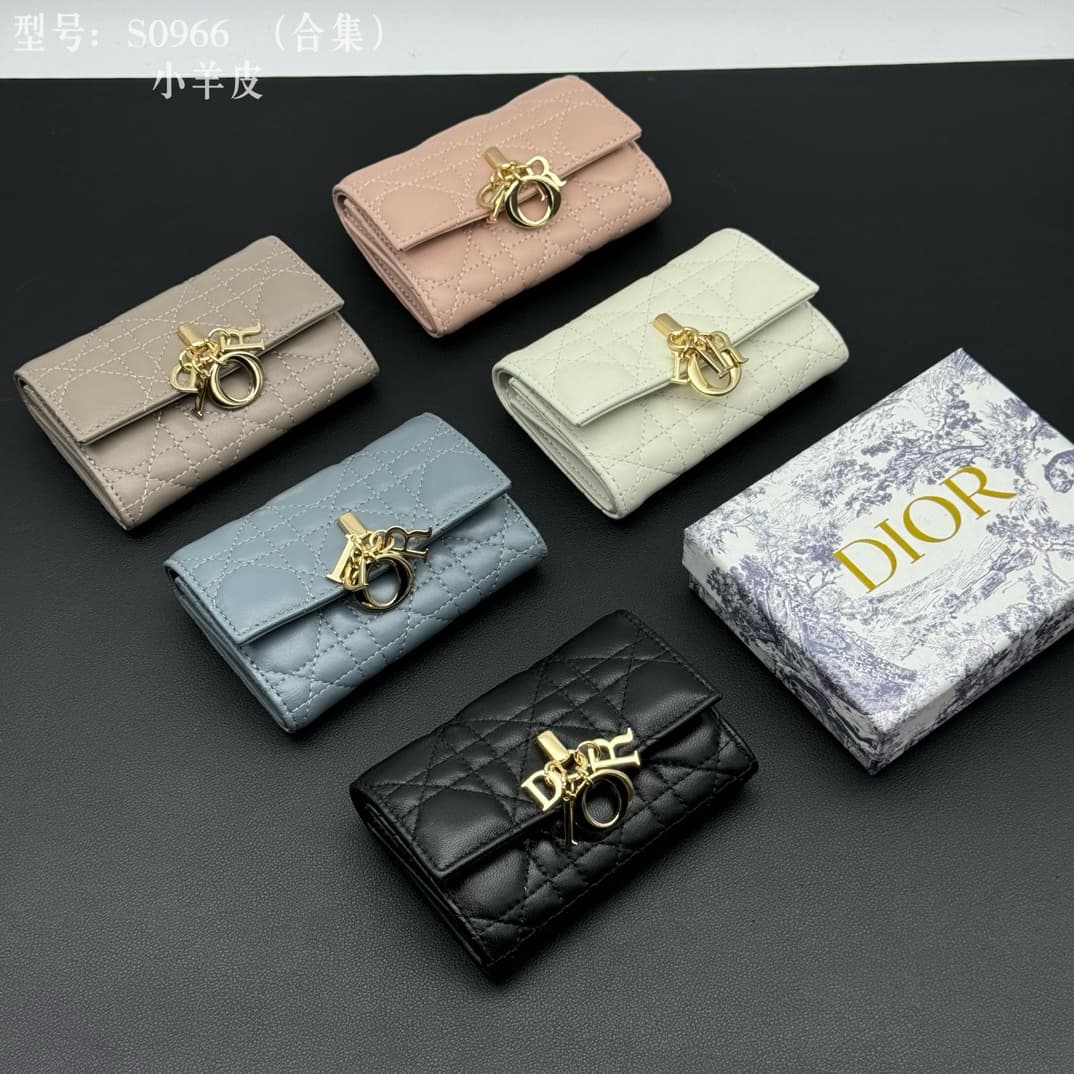 Dior Accessory S0966