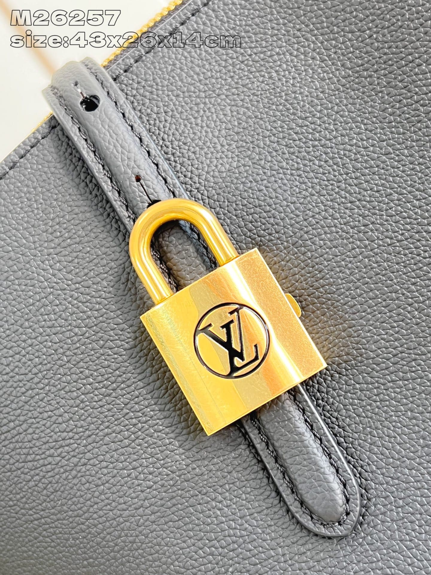 Louis Vuitton Black Tote Bag M26257