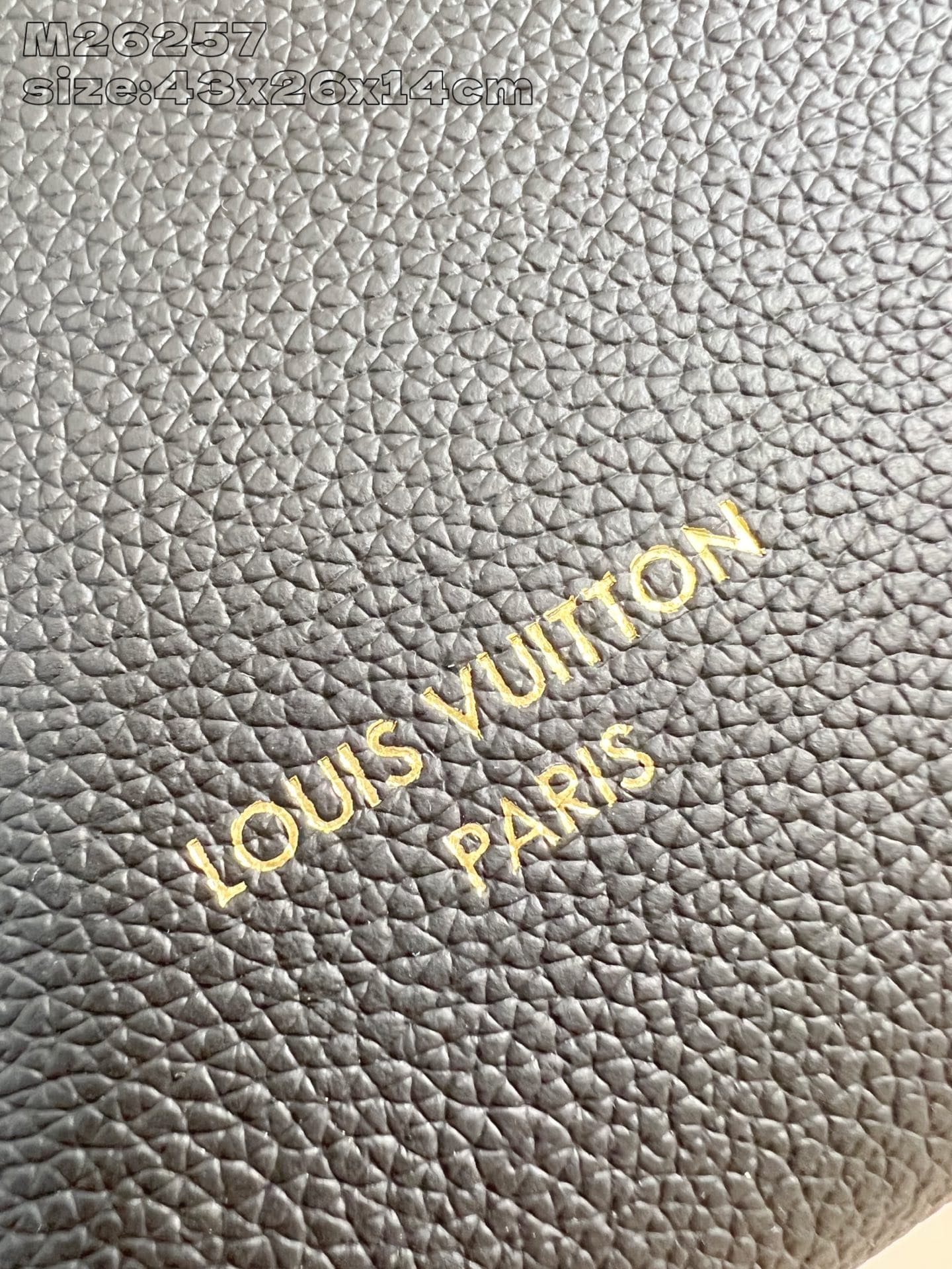 Louis Vuitton Black Tote Bag M26257