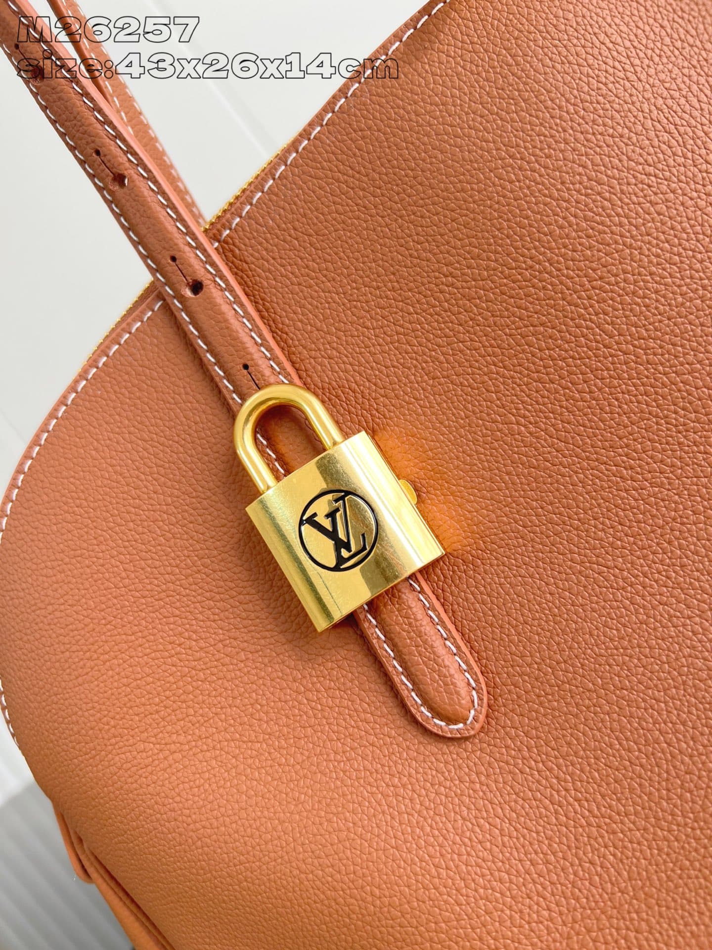 Louis Vuitton Brown Tote Bag M26257
