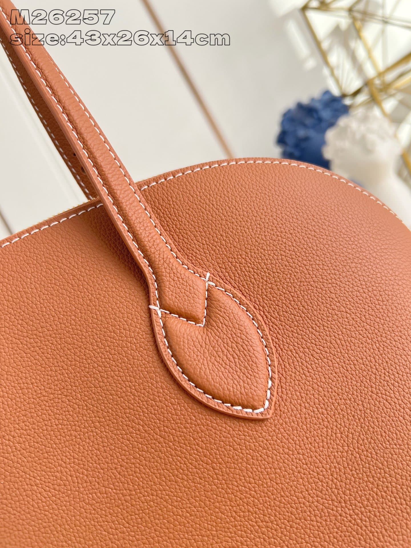 Louis Vuitton Brown Tote Bag M26257