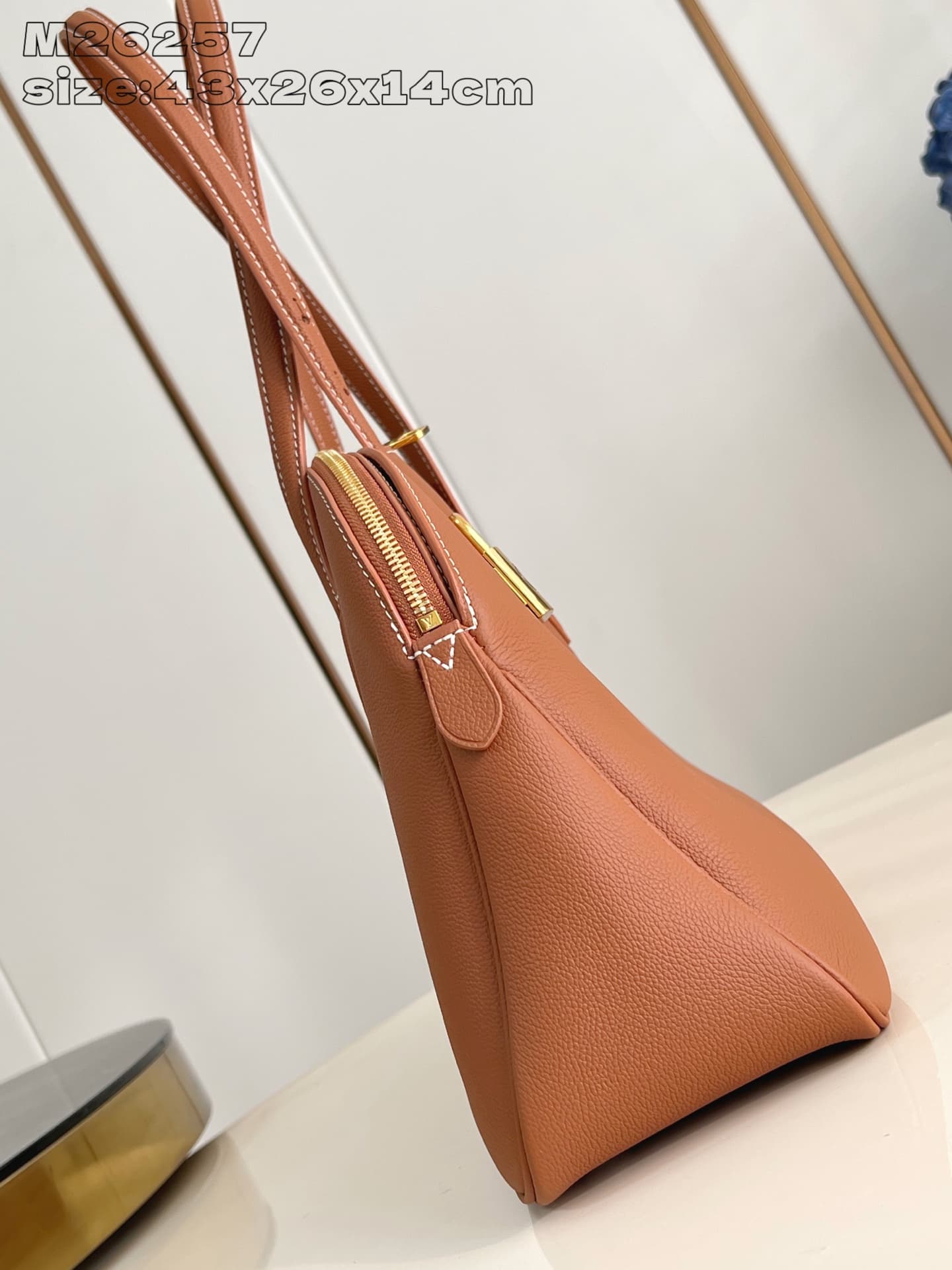 Louis Vuitton Brown Tote Bag M26257