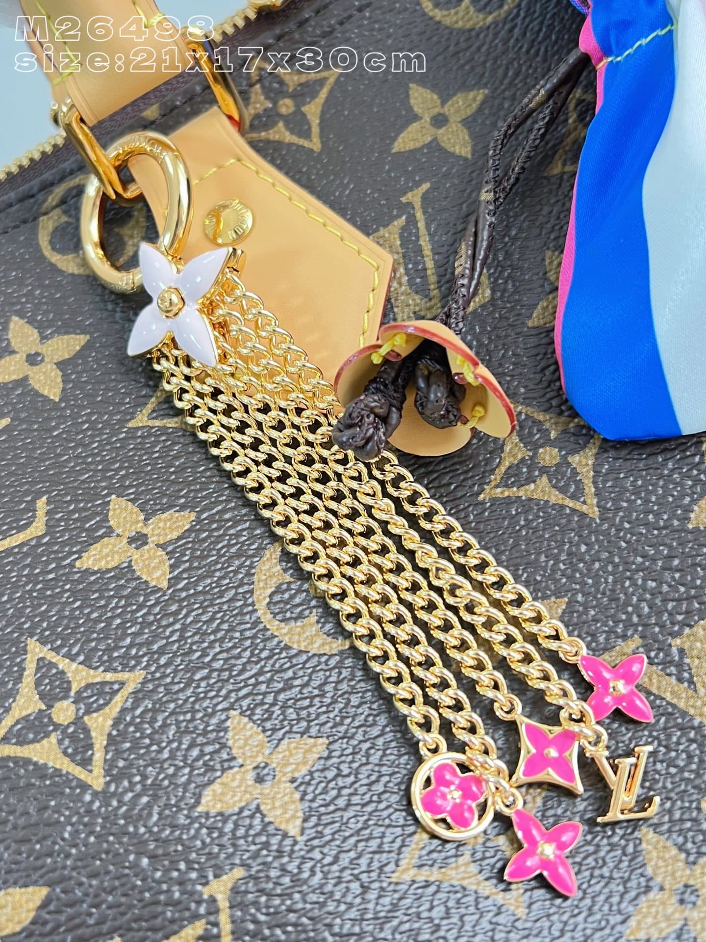 Louis Vuitton Bag M26498