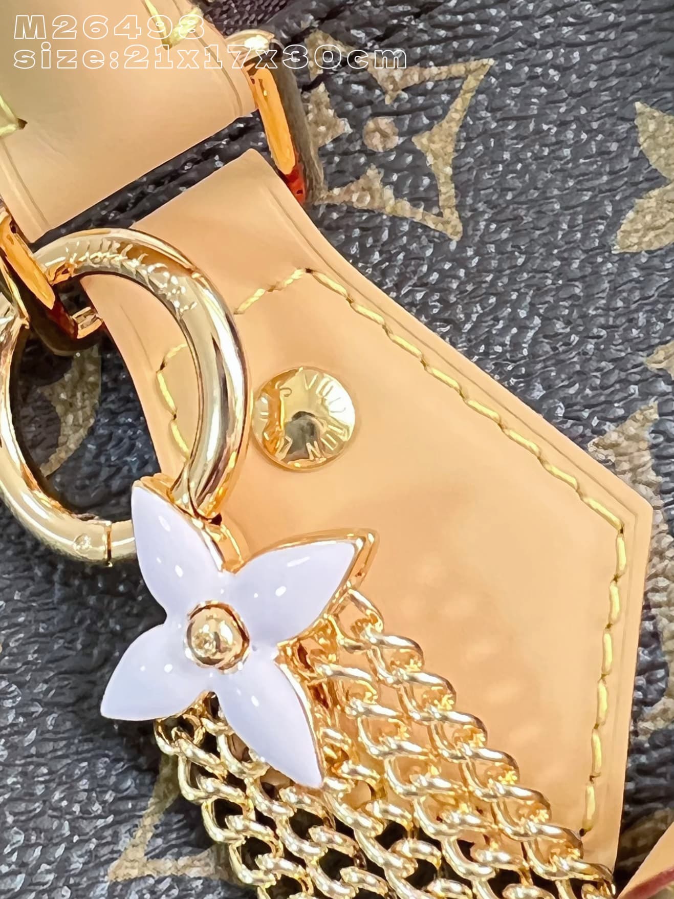 Louis Vuitton Bag M26498