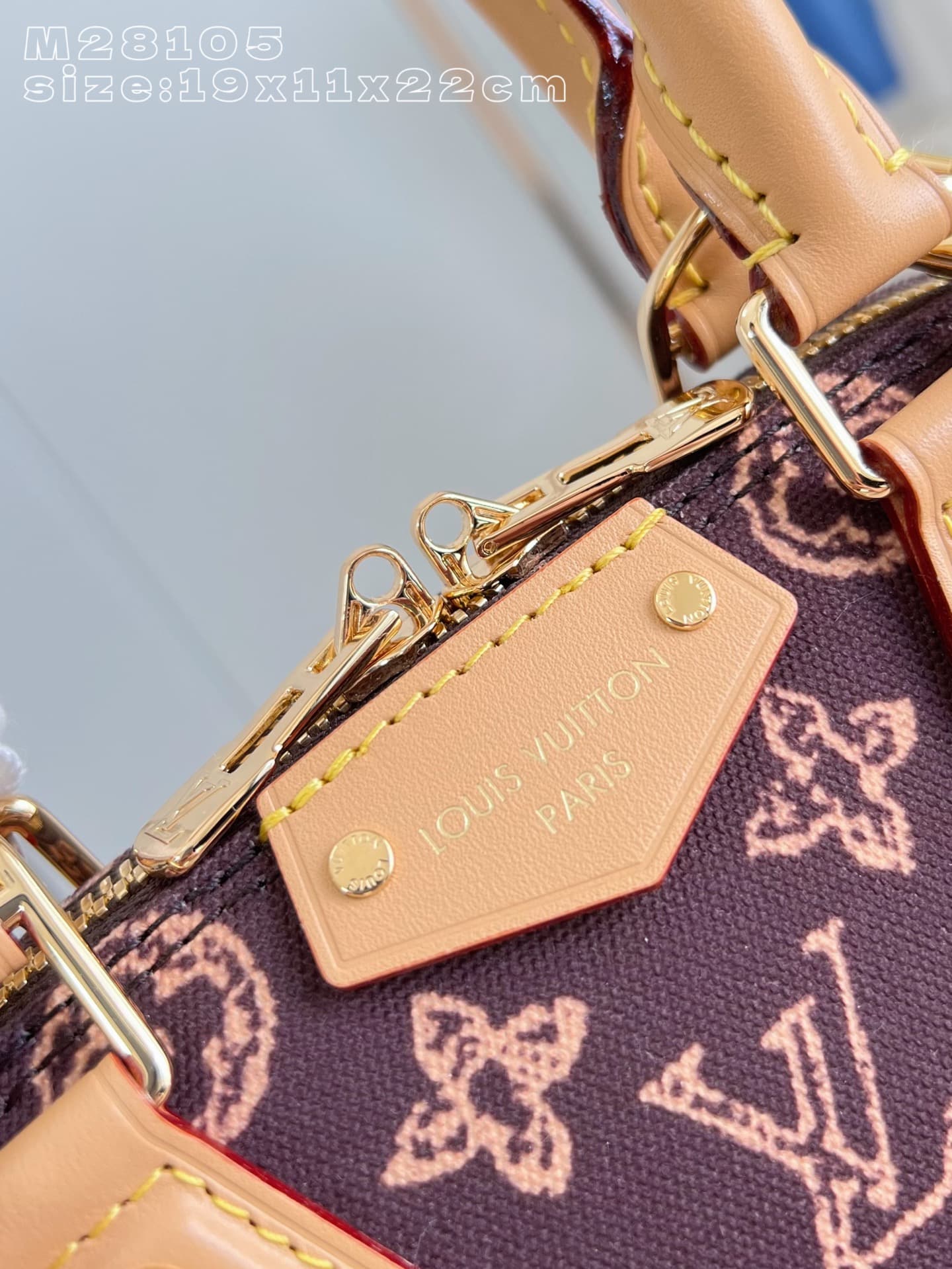 Louis Vuitton Crossbody Bag M28105