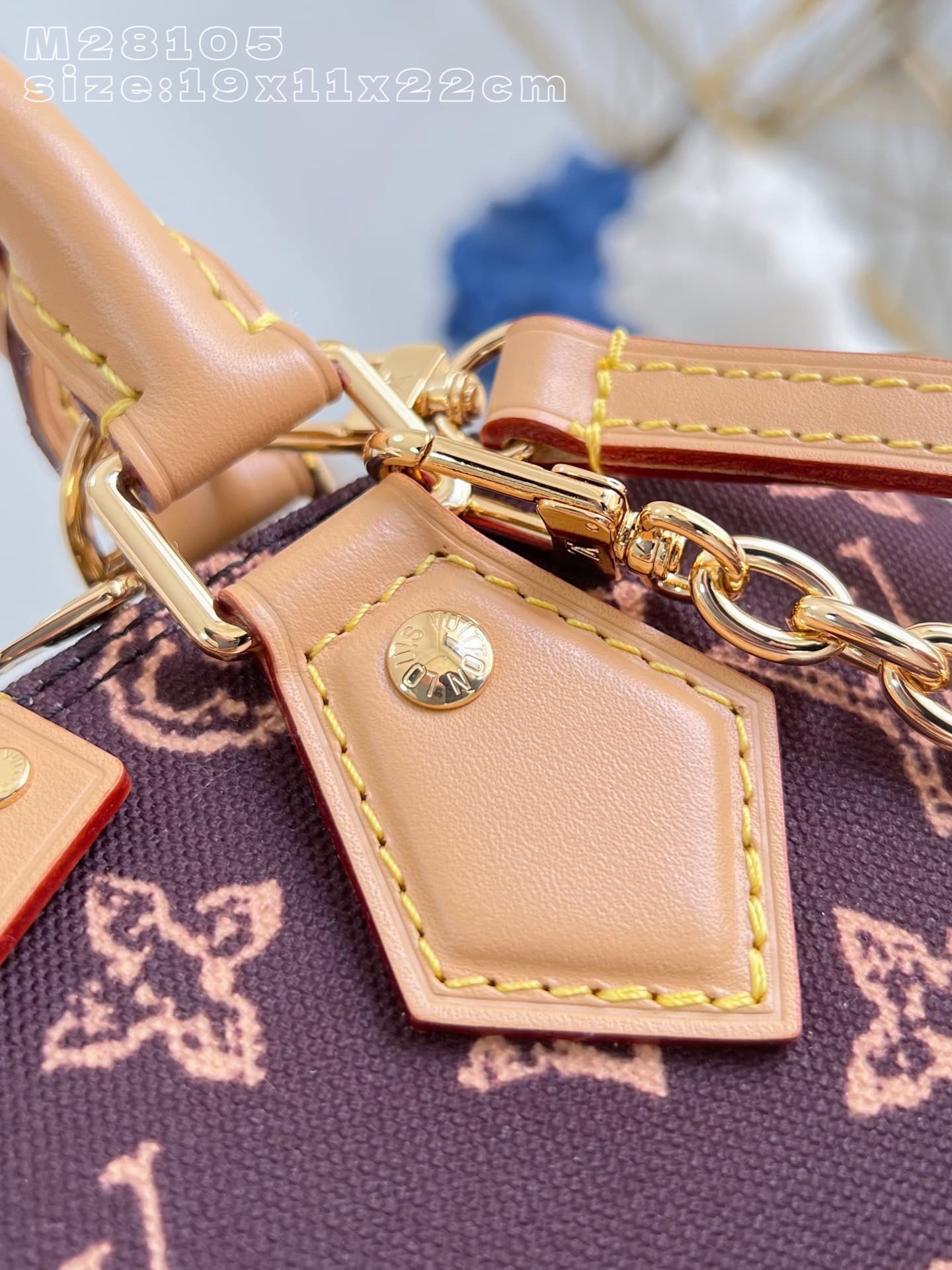 Louis Vuitton Crossbody Bag M28105