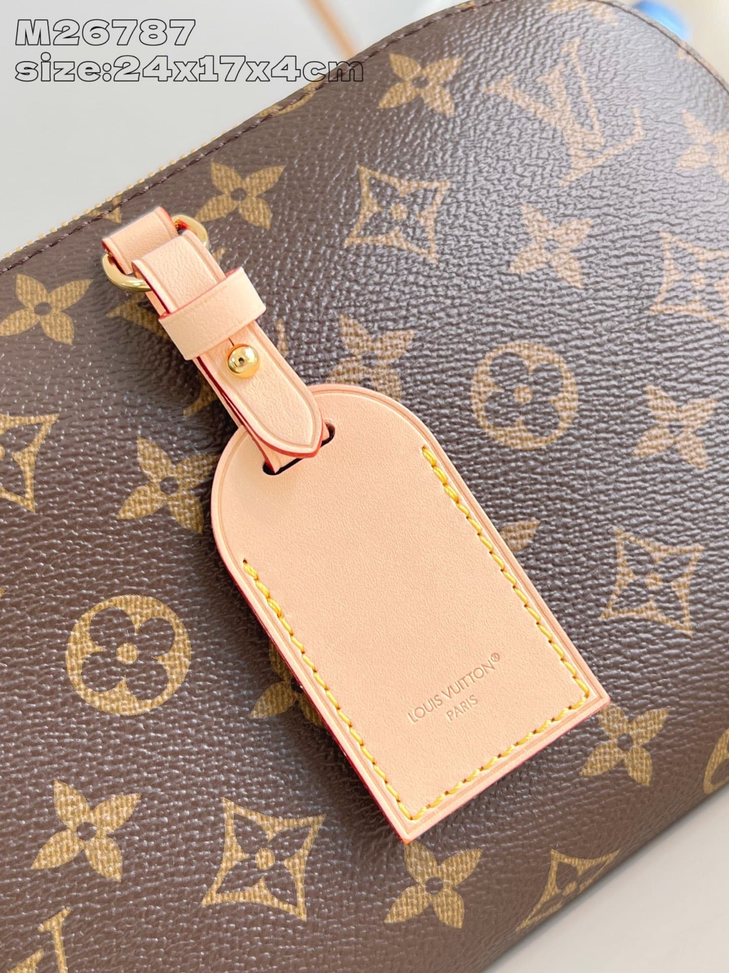 Louis Vuitton Bag M26787