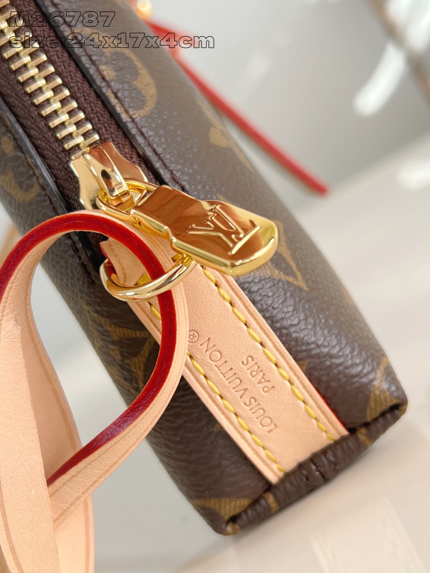 Louis Vuitton Bag M26787