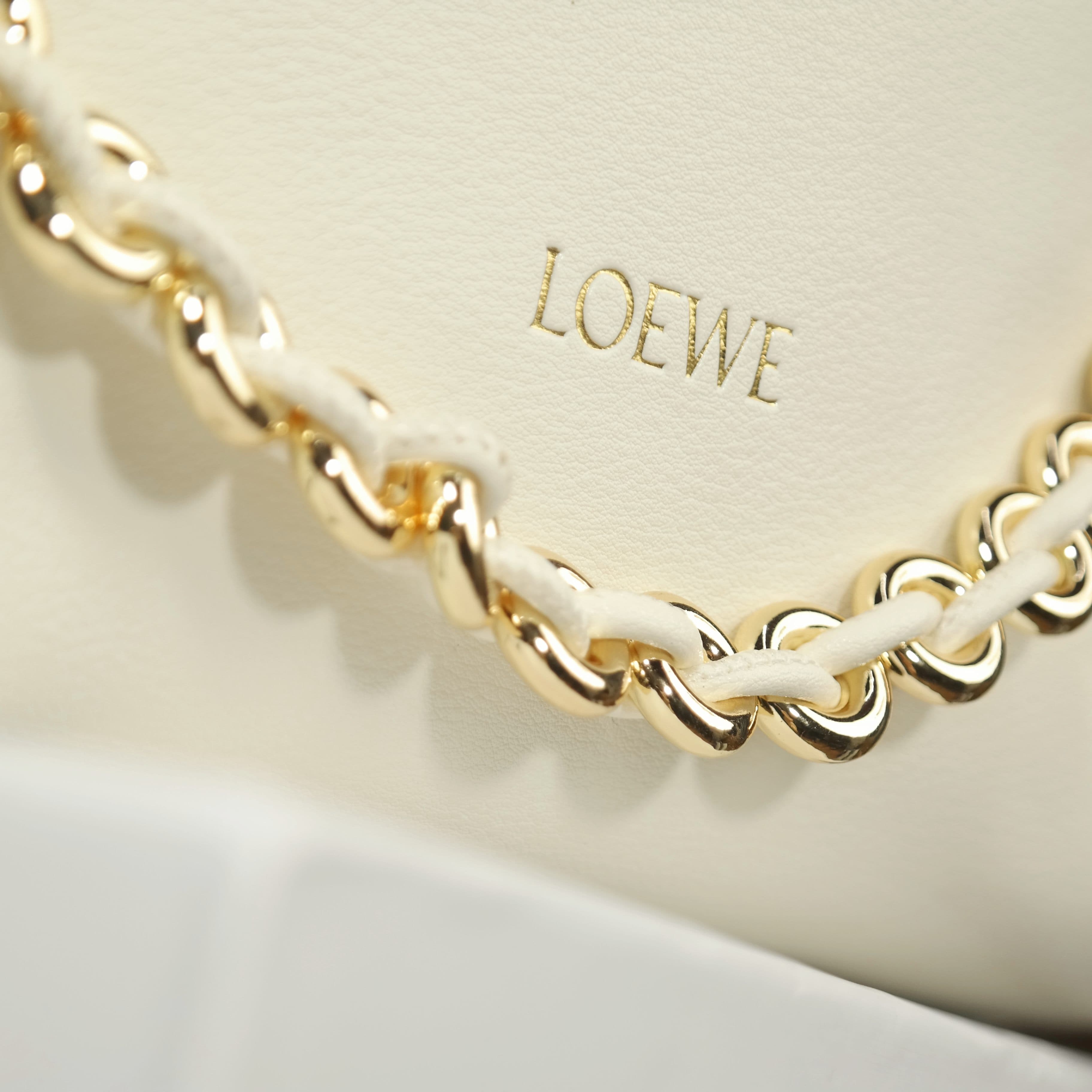 Loewe Crossbody Bag 1010
