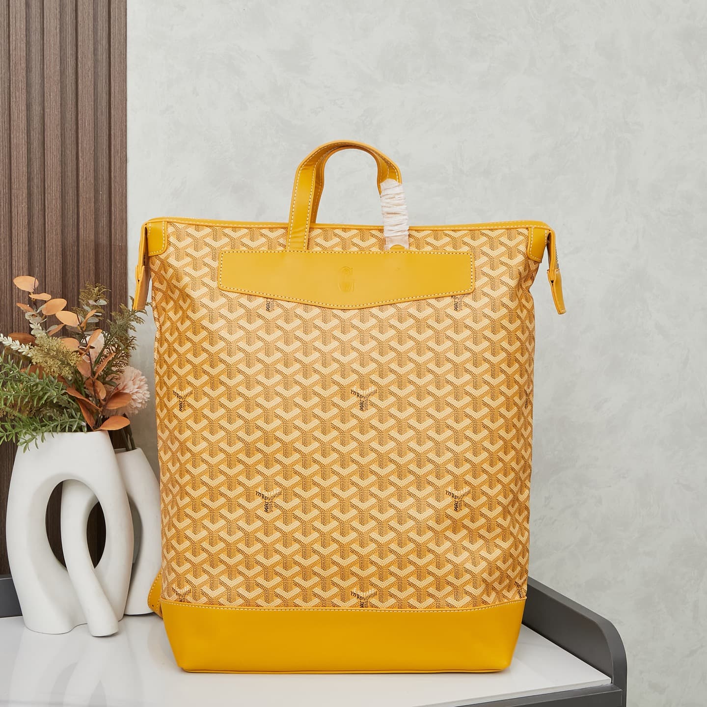 Goyard Backpack 2537