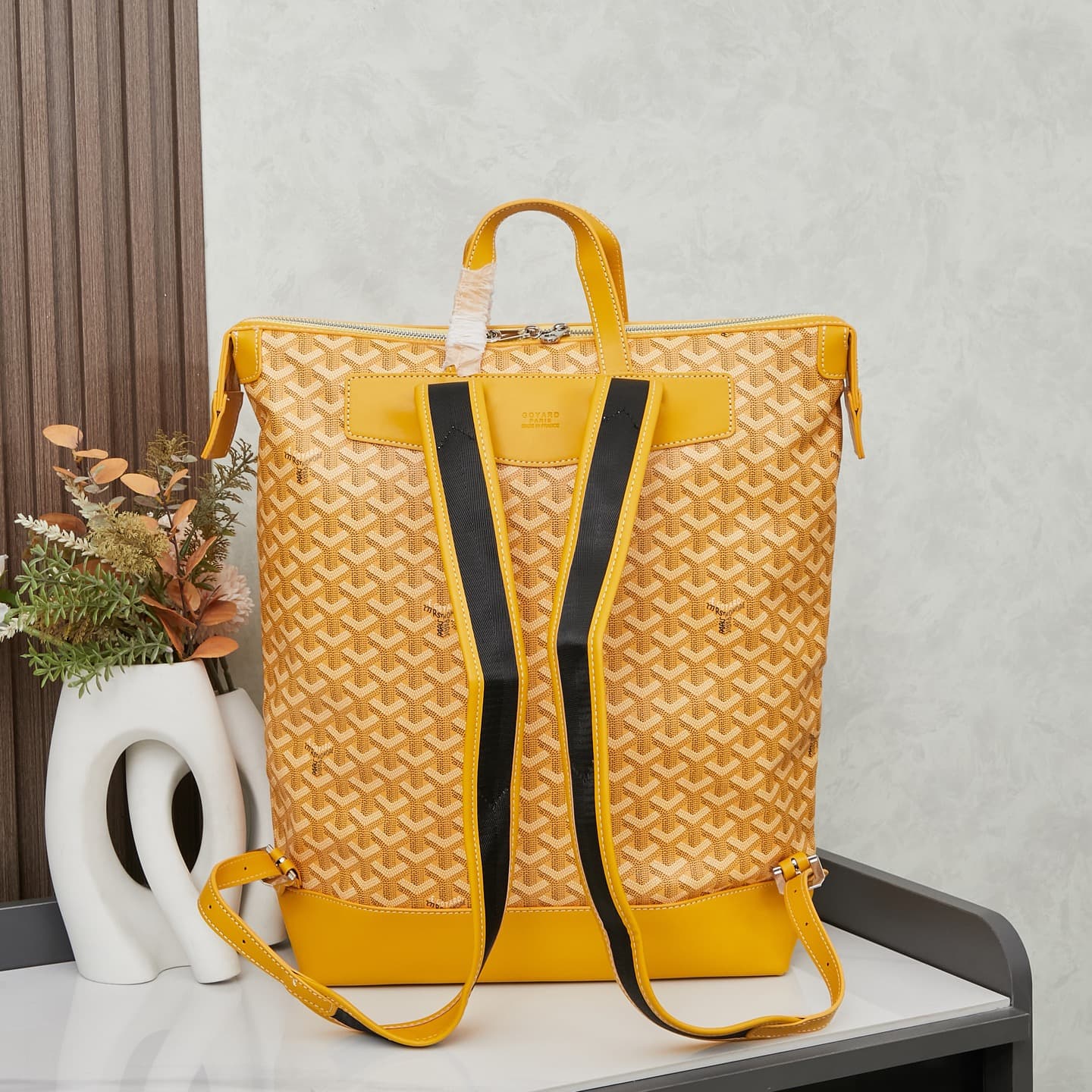 Goyard Backpack 2537