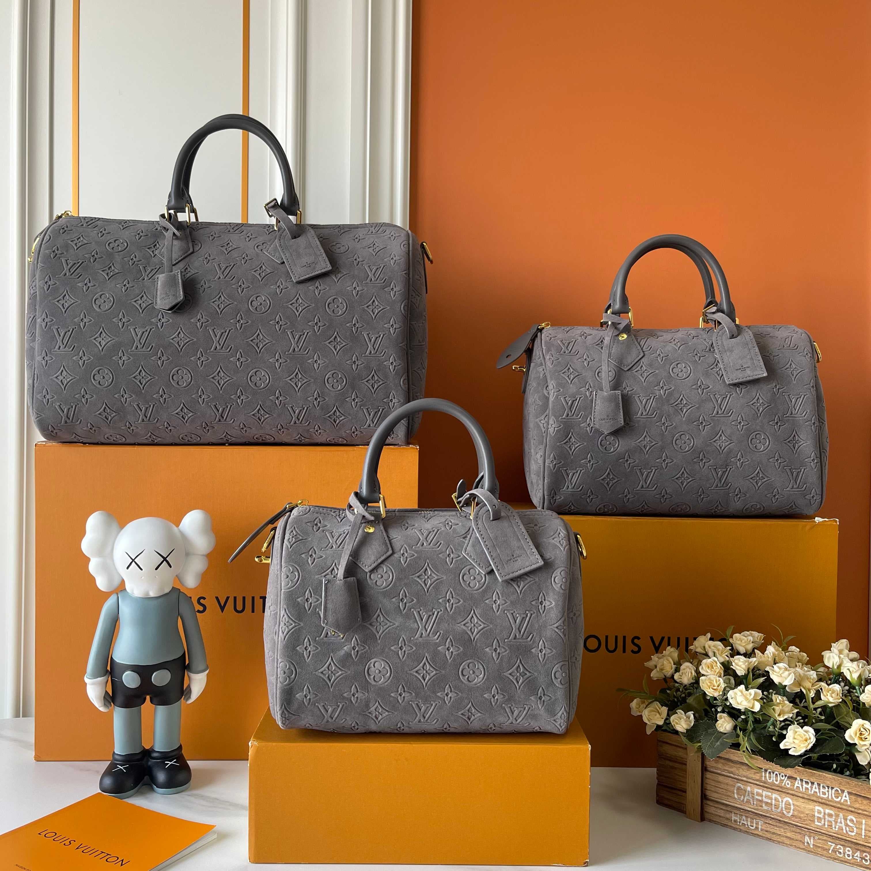Louis Vuitton Accessory M15225